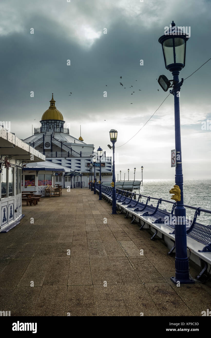 Coastal defence management on Eastbourne beach Stock Photo Alamy