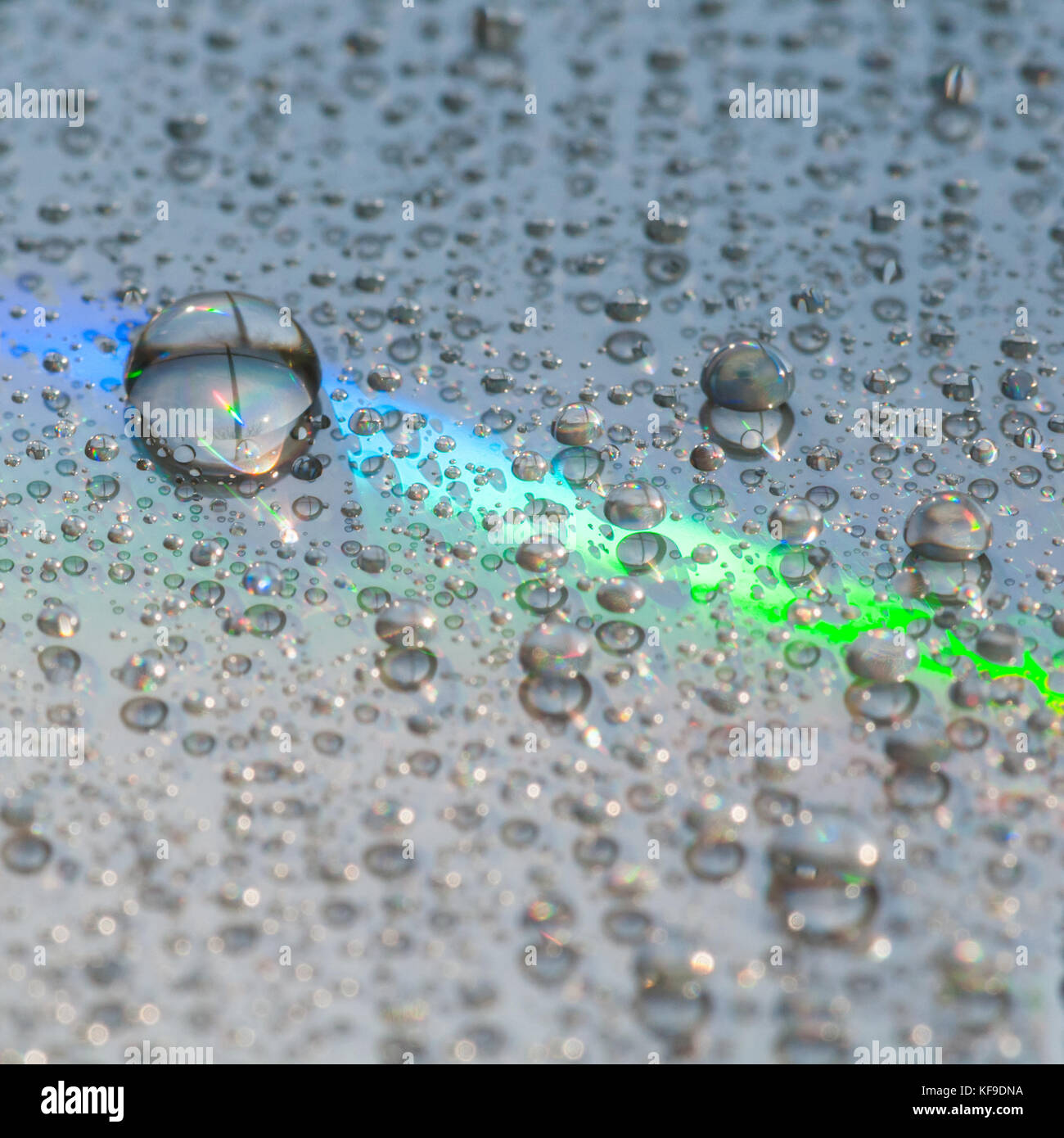 A macro shot of water droplets on the surface of a compact disc Stock ...