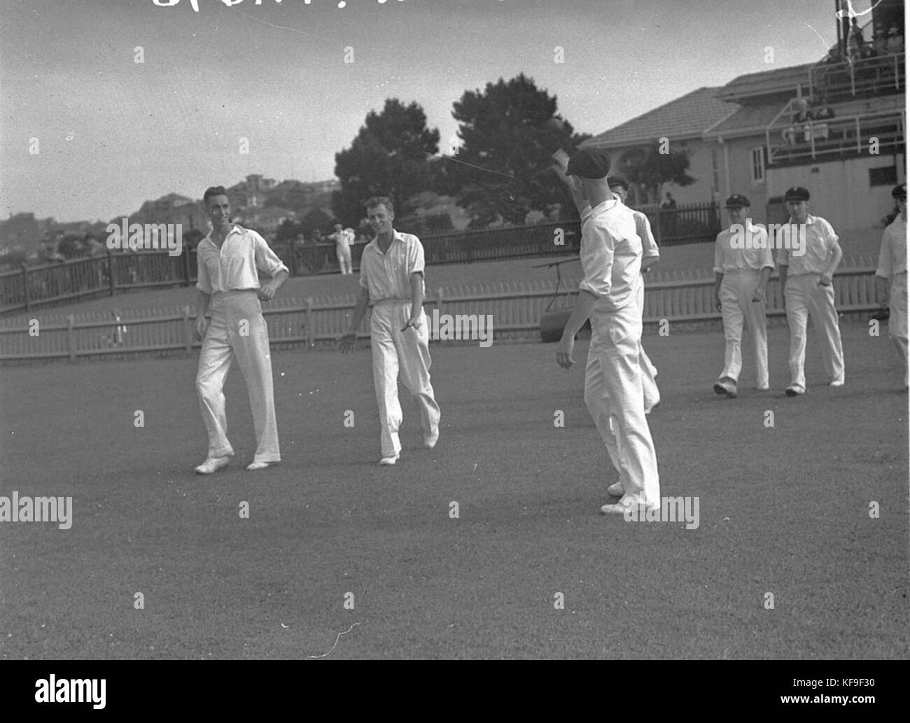 43681 Cricket match Stock Photo Alamy