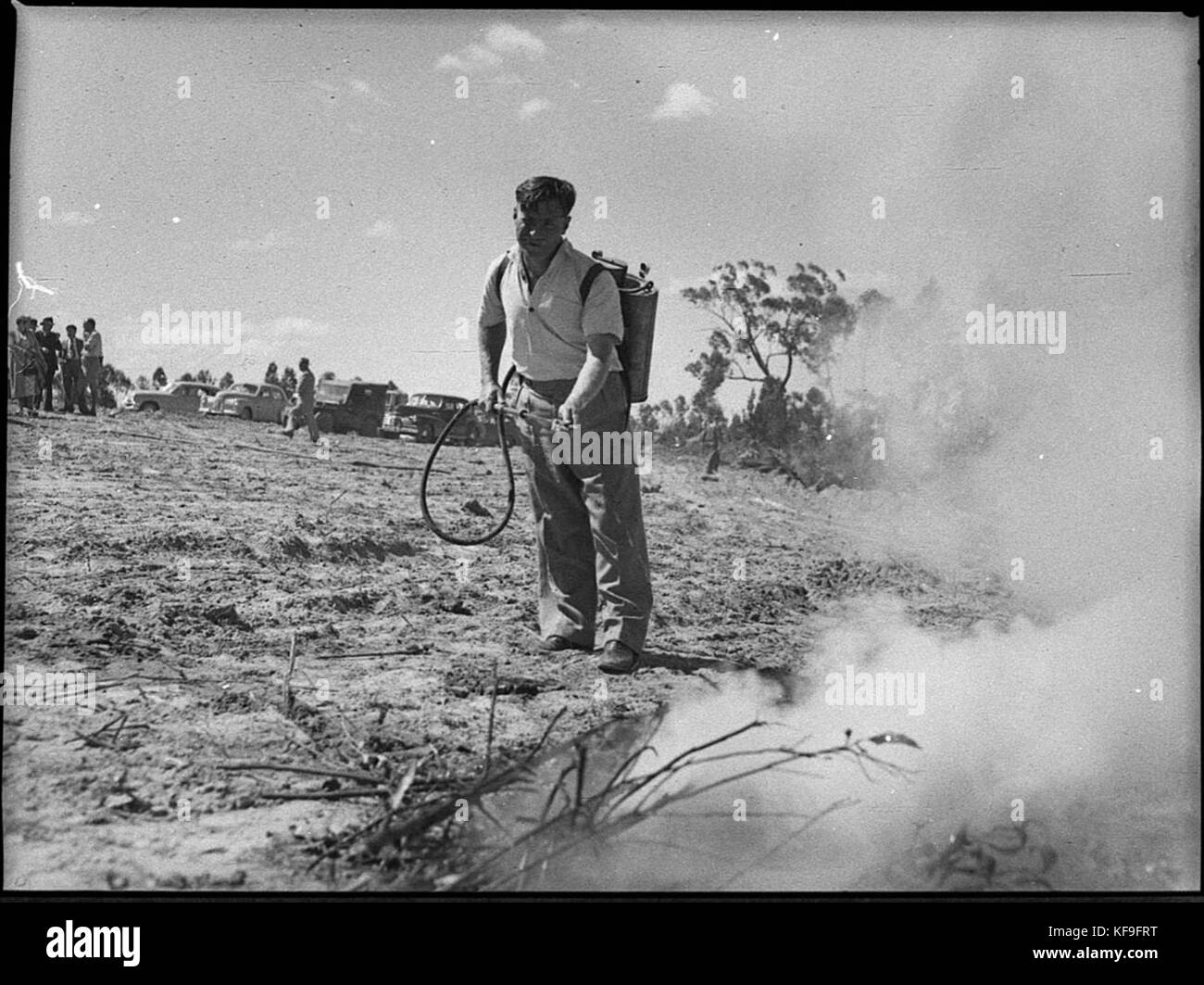 31964 New Cooranbong 60 foot fire watching tower in State forest