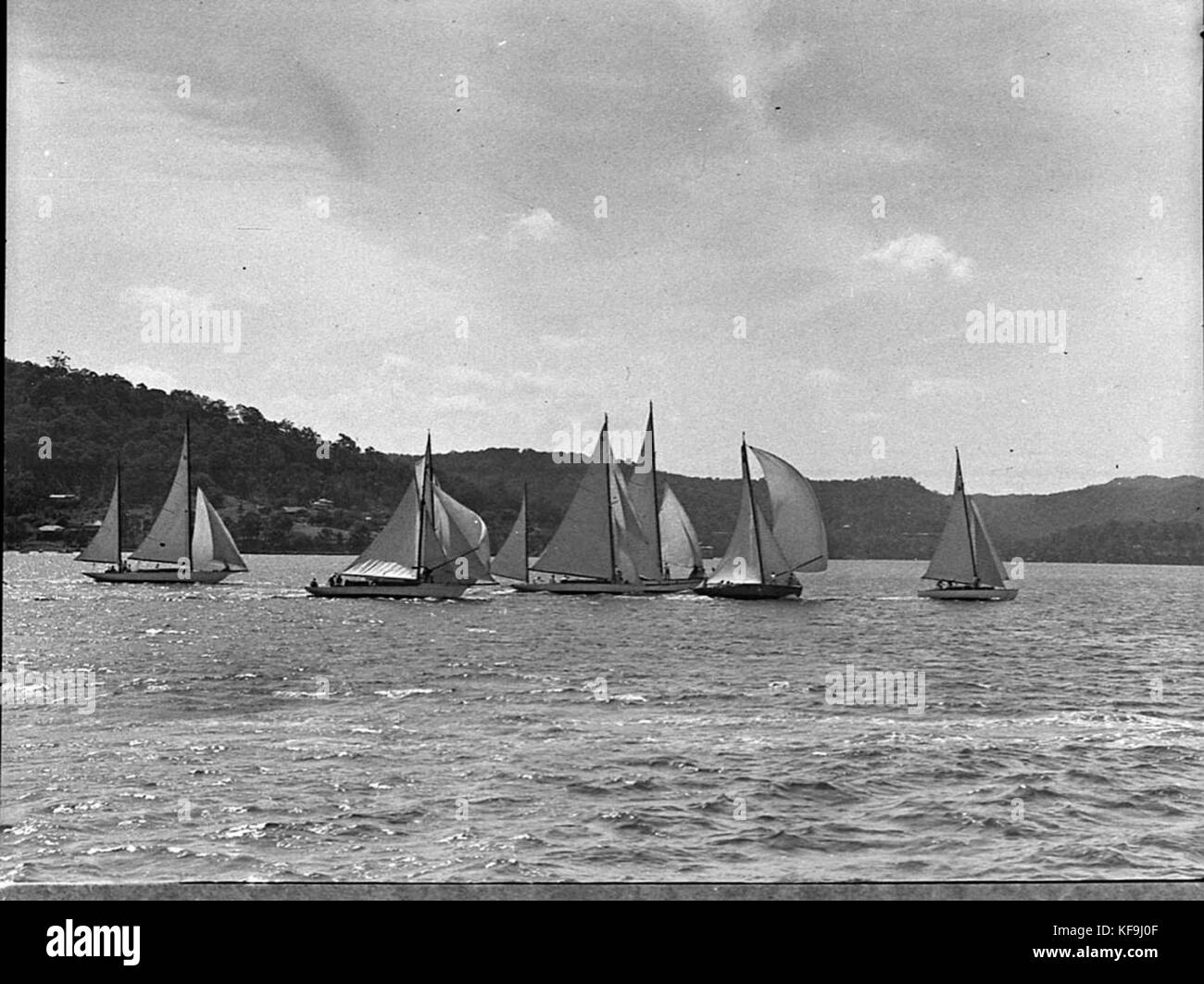 21404 Pittwater Regatta Stock Photo Alamy