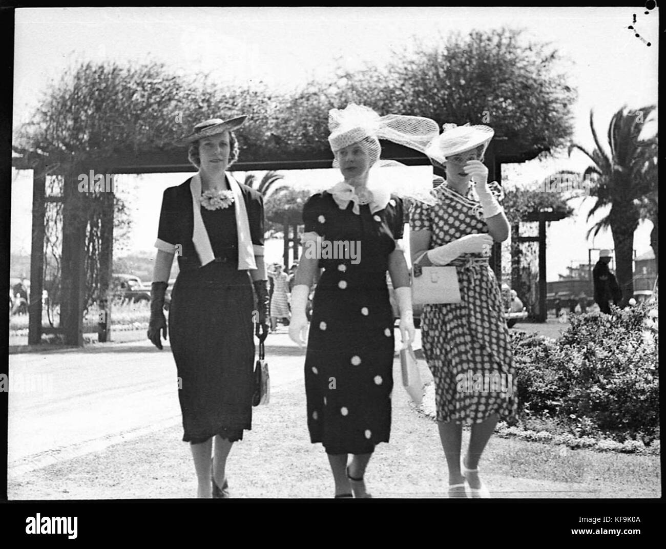 24057 Spring Meeting Randwick races Stock Photo - Alamy