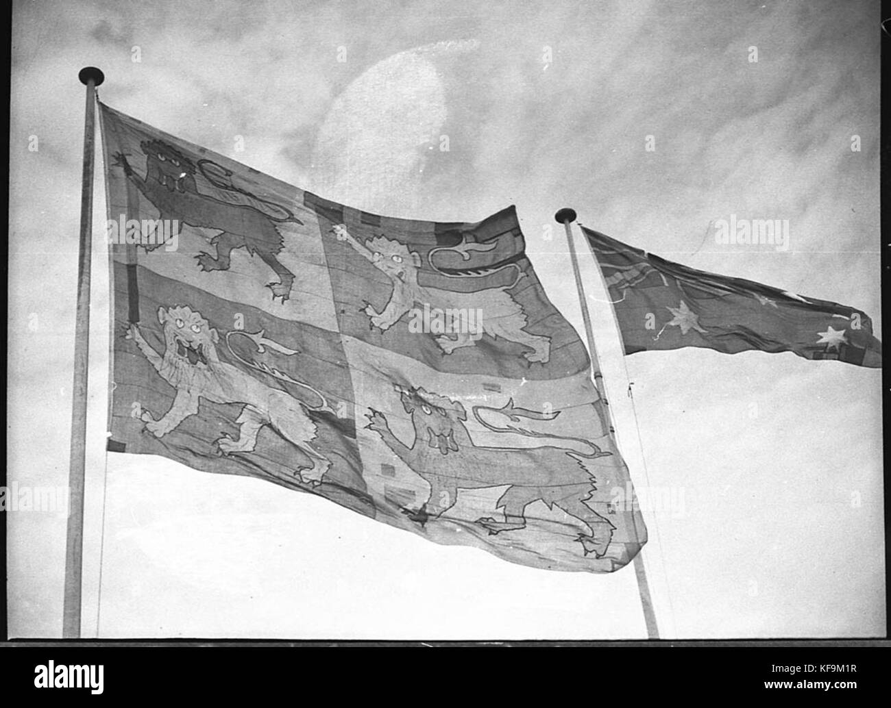 19588 Welsh and Australian Flags on David Jones Welsh national day Stock Photo
