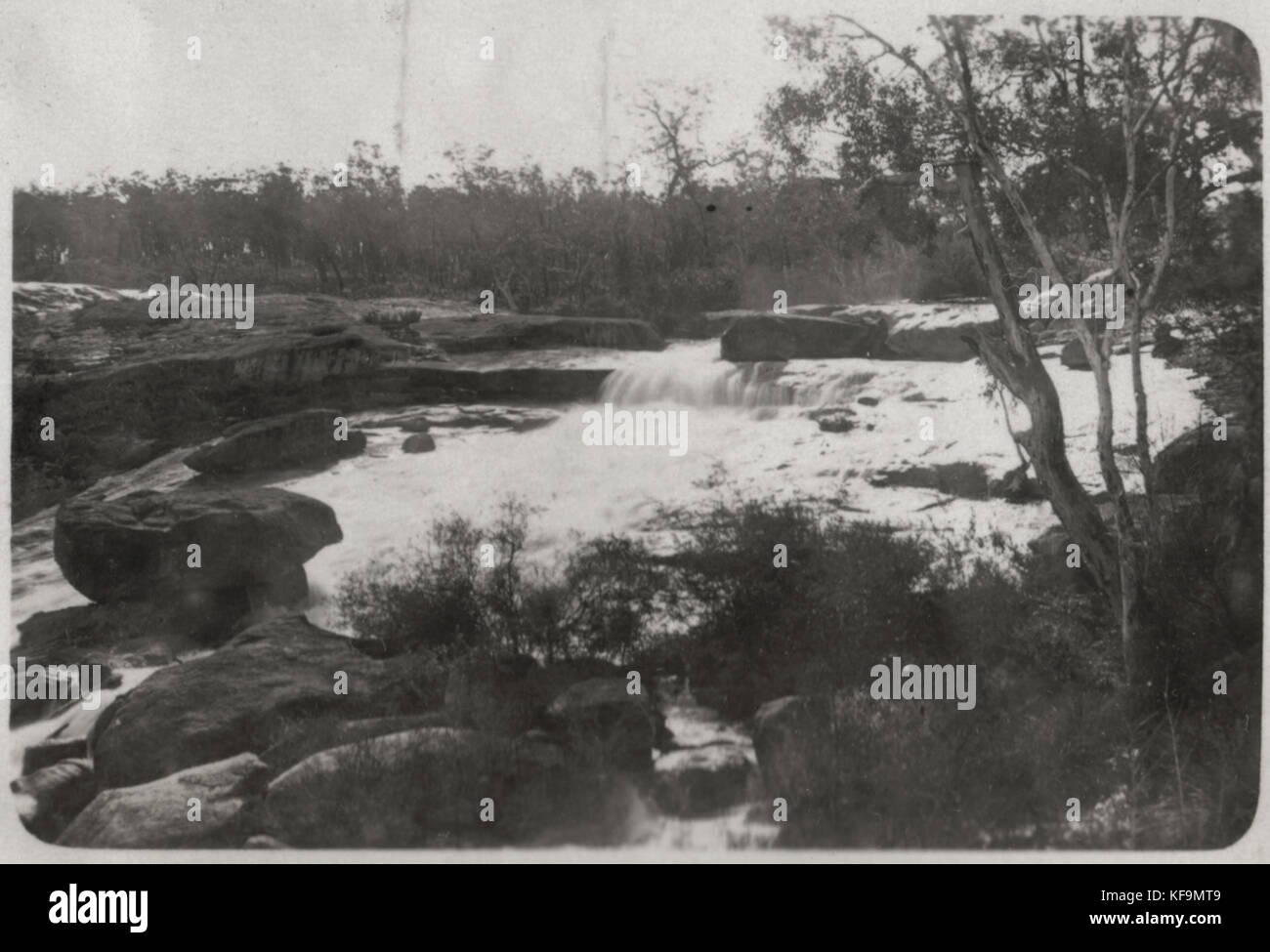 Hovea, Western Australia, ca. 1926 Stock Photo