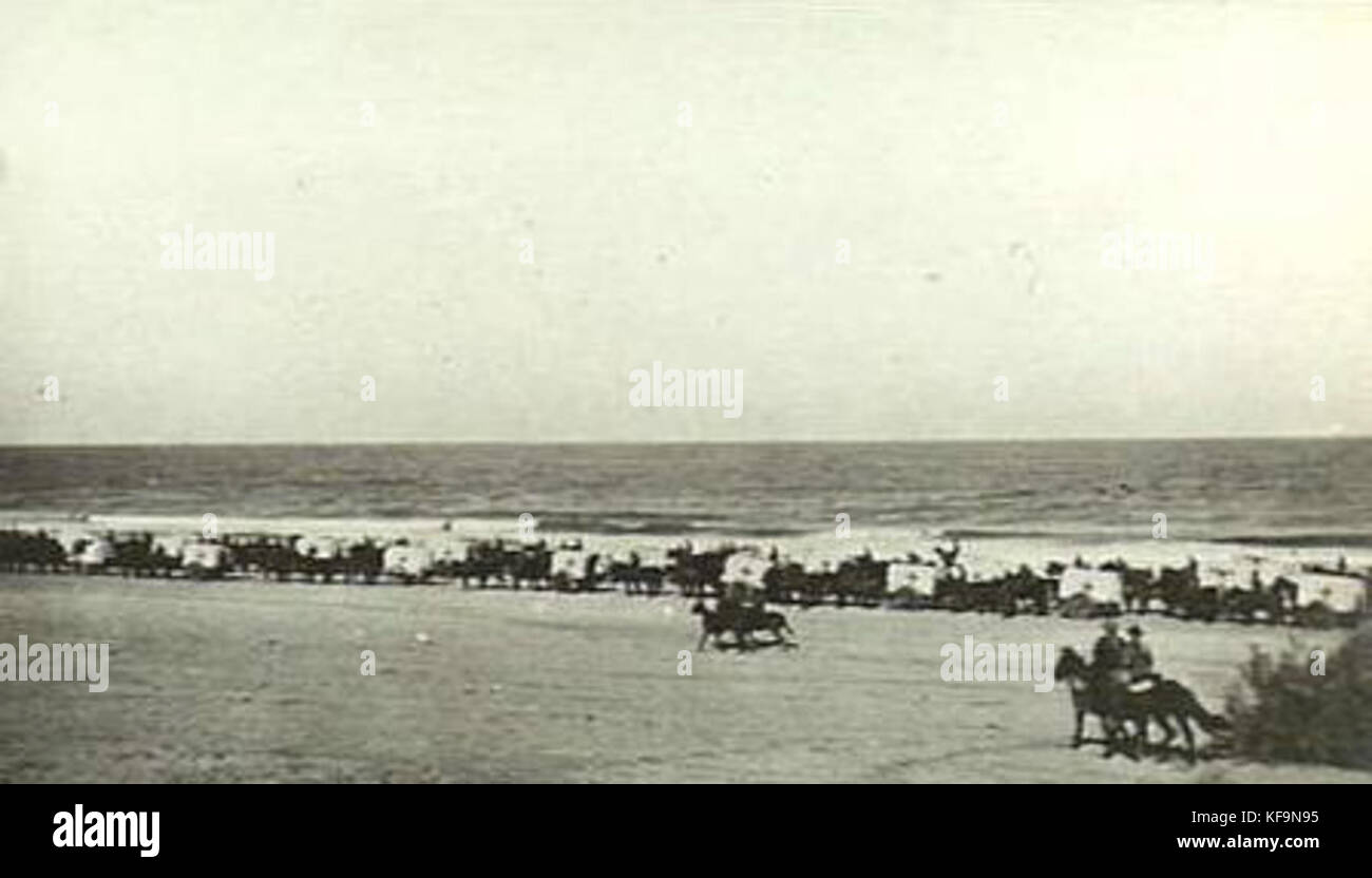 Ambulance convoy after the Battle of Magdhaba 1916 AWM photo B02487 Stock Photo