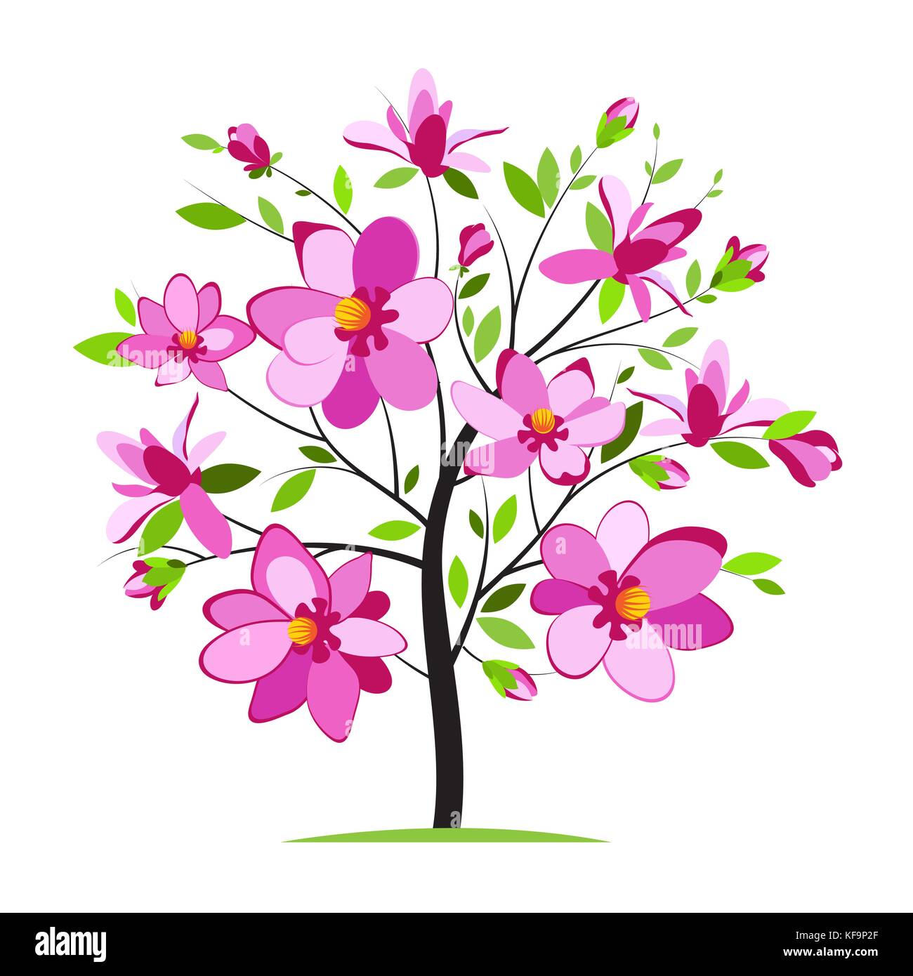 Blossoming magnolia tree on white background Stock Vector