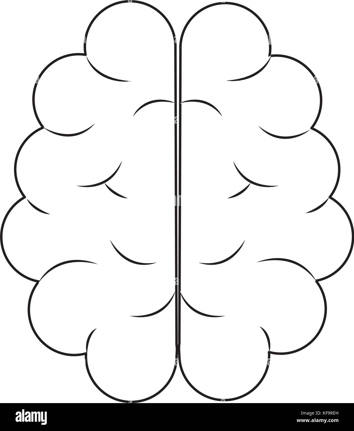 human brain icon over white background vector illustration Stock Vector ...