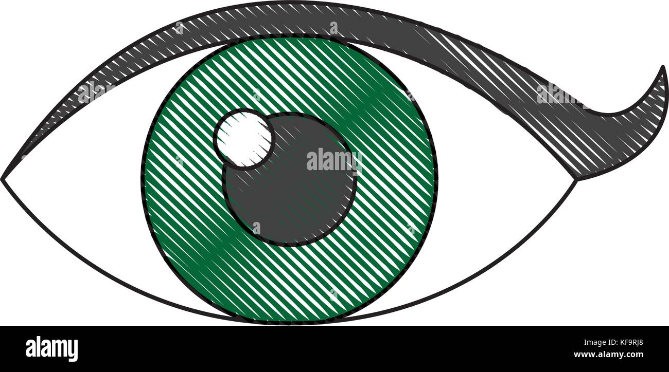eye icon over white background vector illustration Stock Vector Image ...