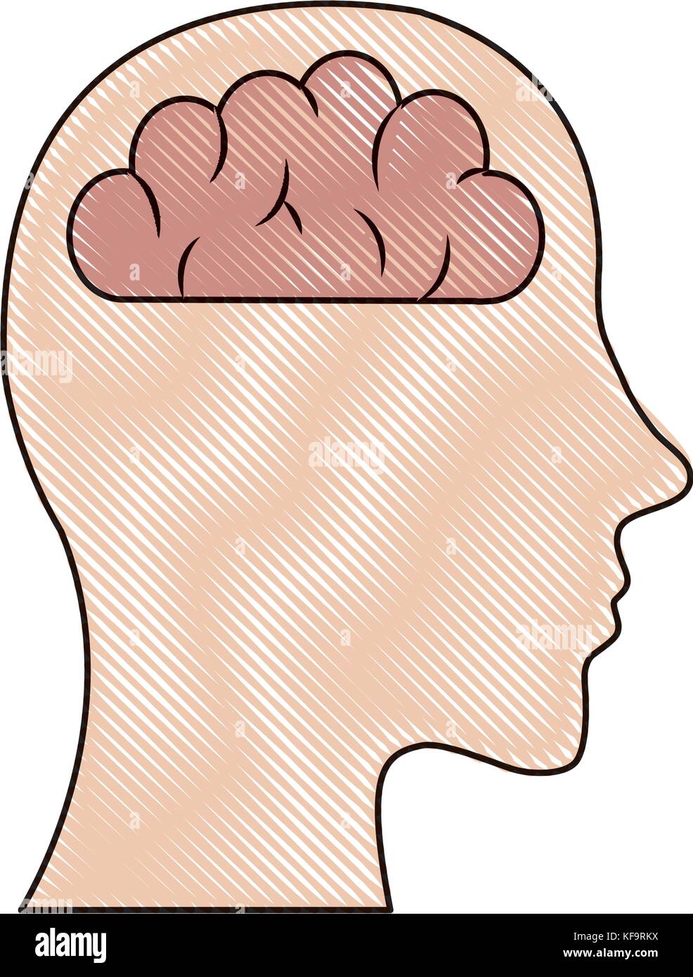 head with human brain icon over white background vector illustration ...