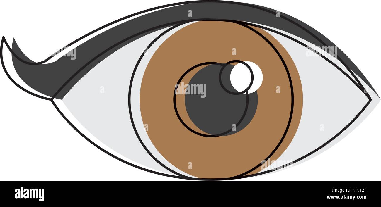 eye icon over white background vector illustration Stock Vector Image ...