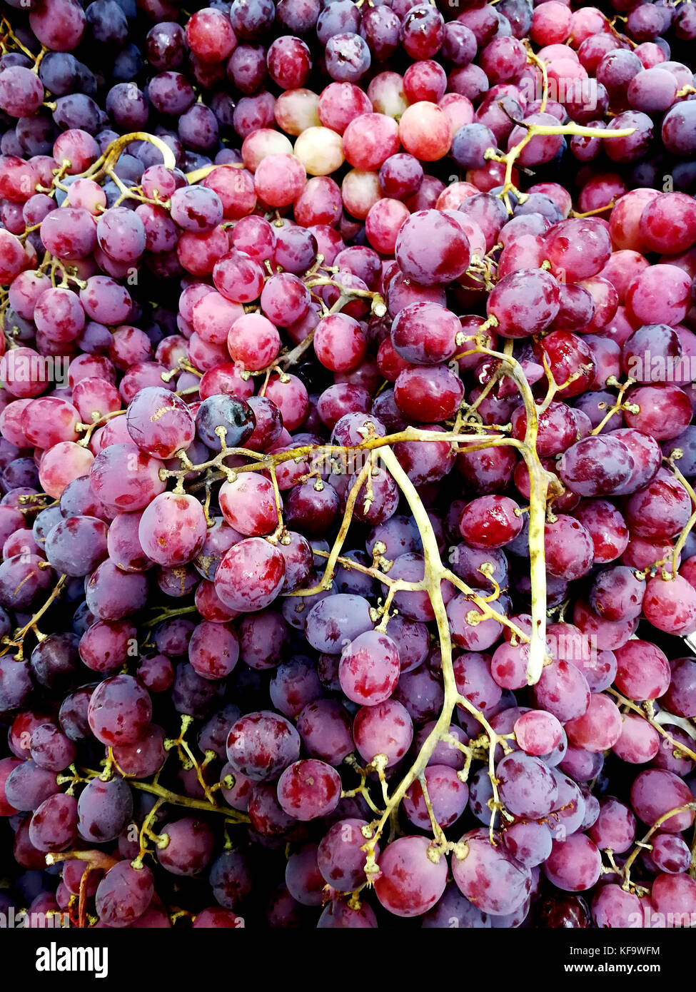 grapes in the market Stock Photo