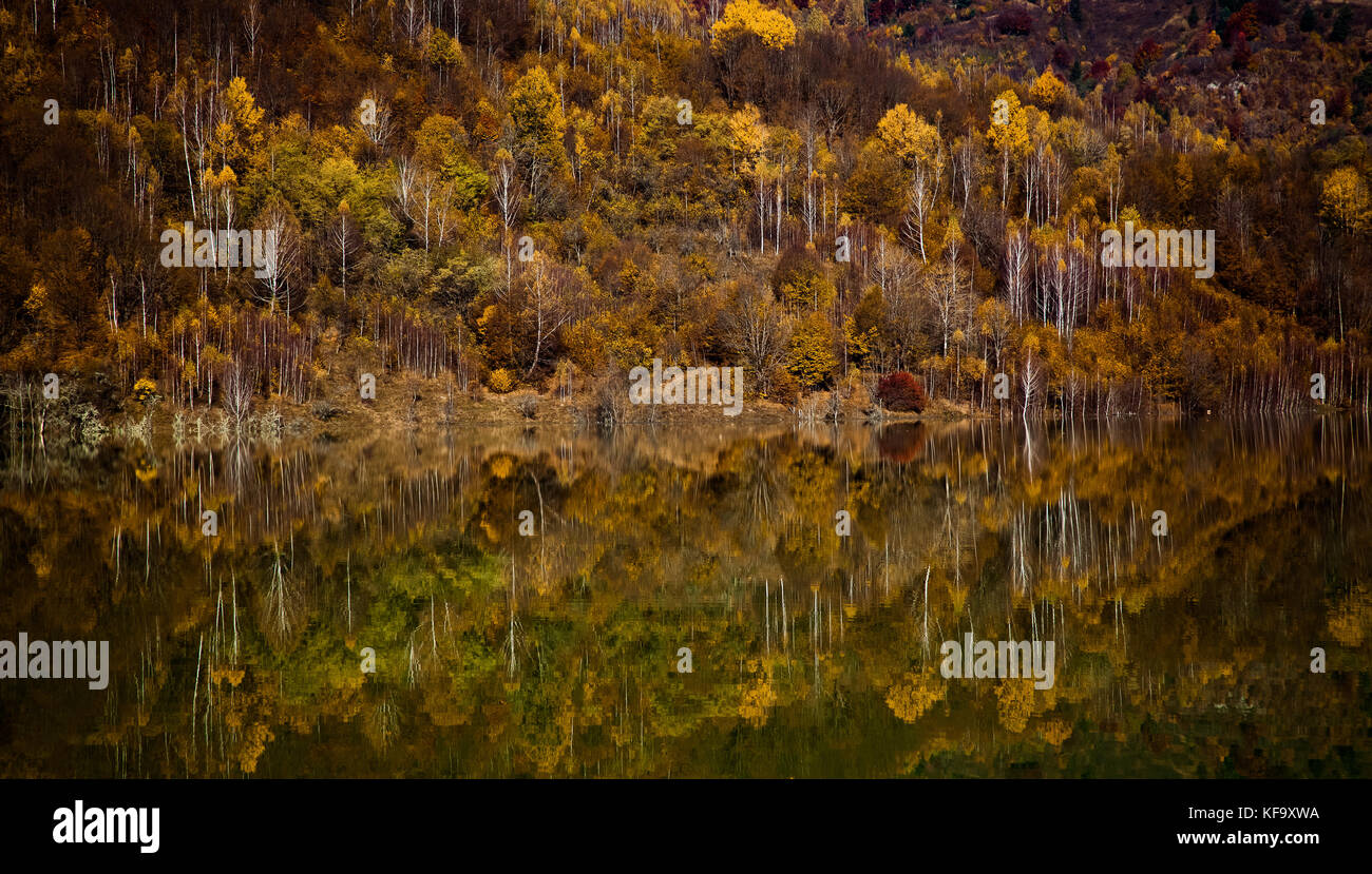 colorful autumn trees reflecting in lake Stock Photo - Alamy