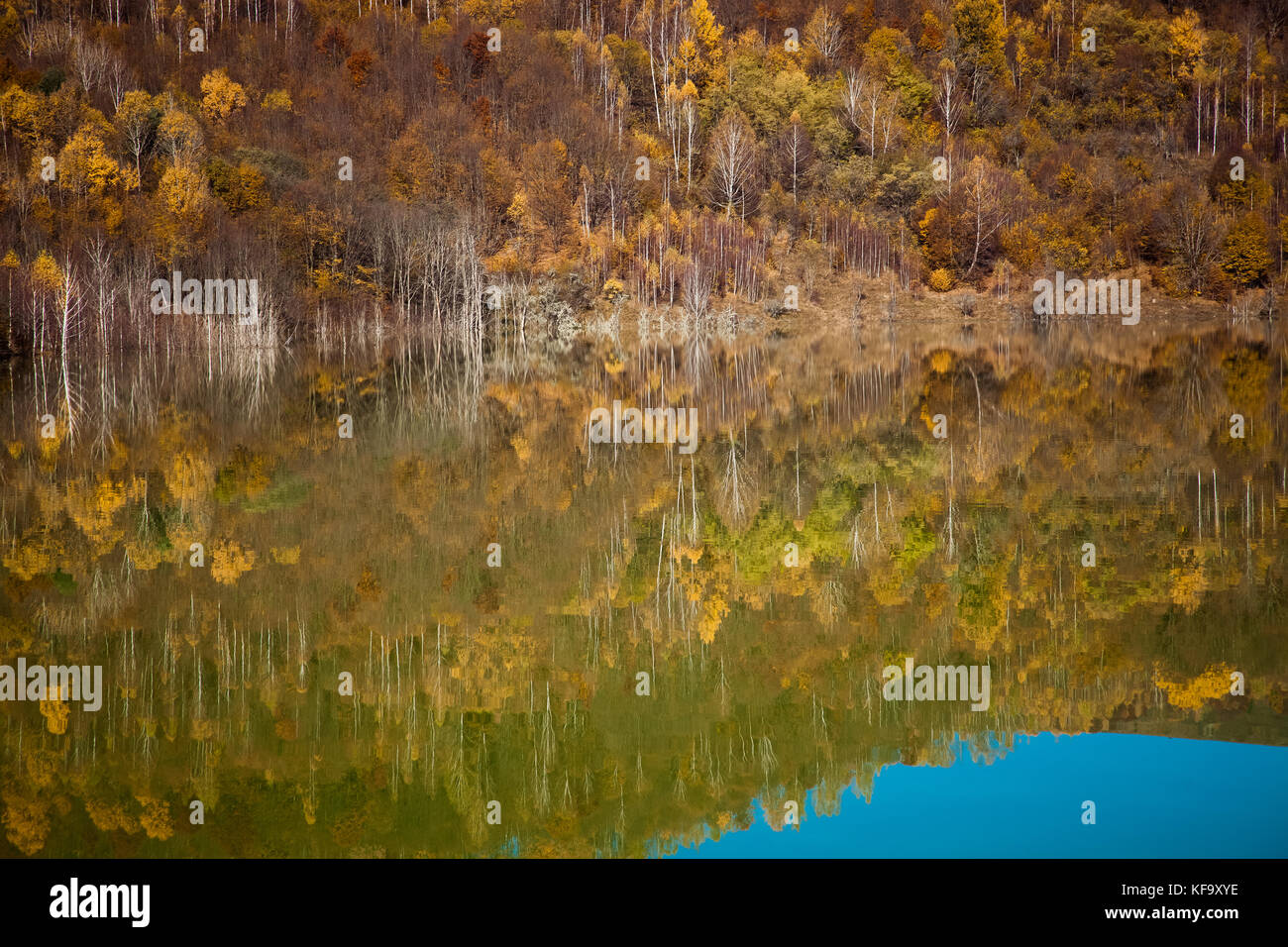 colorful autumn trees reflecting in lake Stock Photo - Alamy