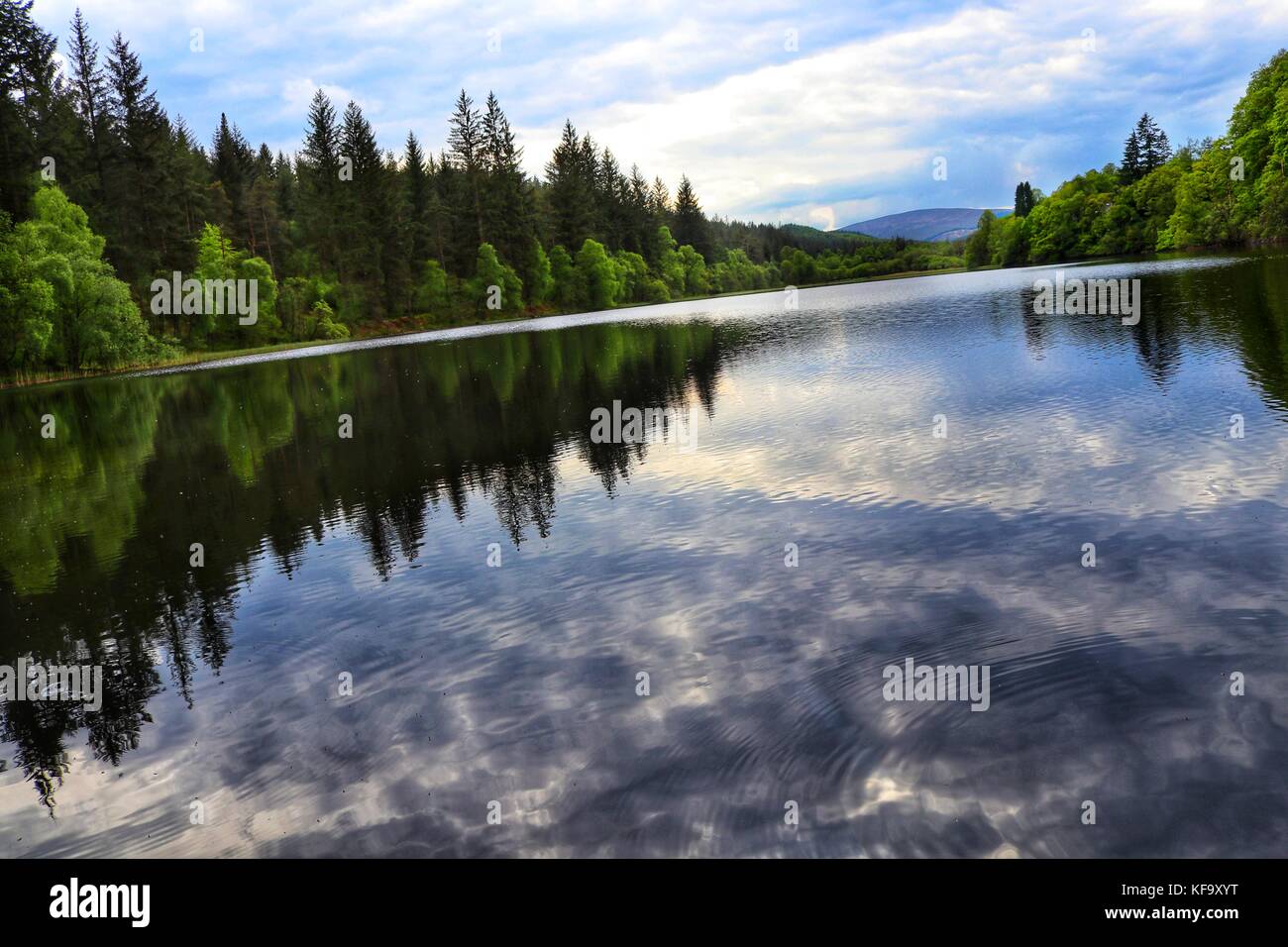 Kin Loch Ard Aberfoyle hi-res stock photography and images - Alamy