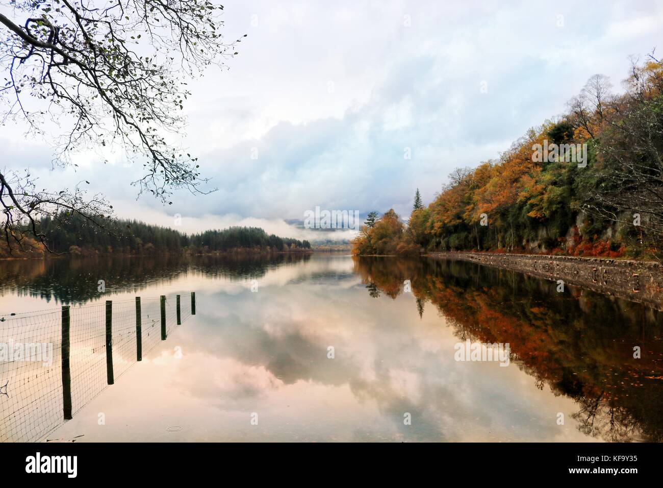 Kin Loch Ard Loch Ard, Aberfoyle, Kinlochard, Scotland, Highlands Stock Photo - Alamy