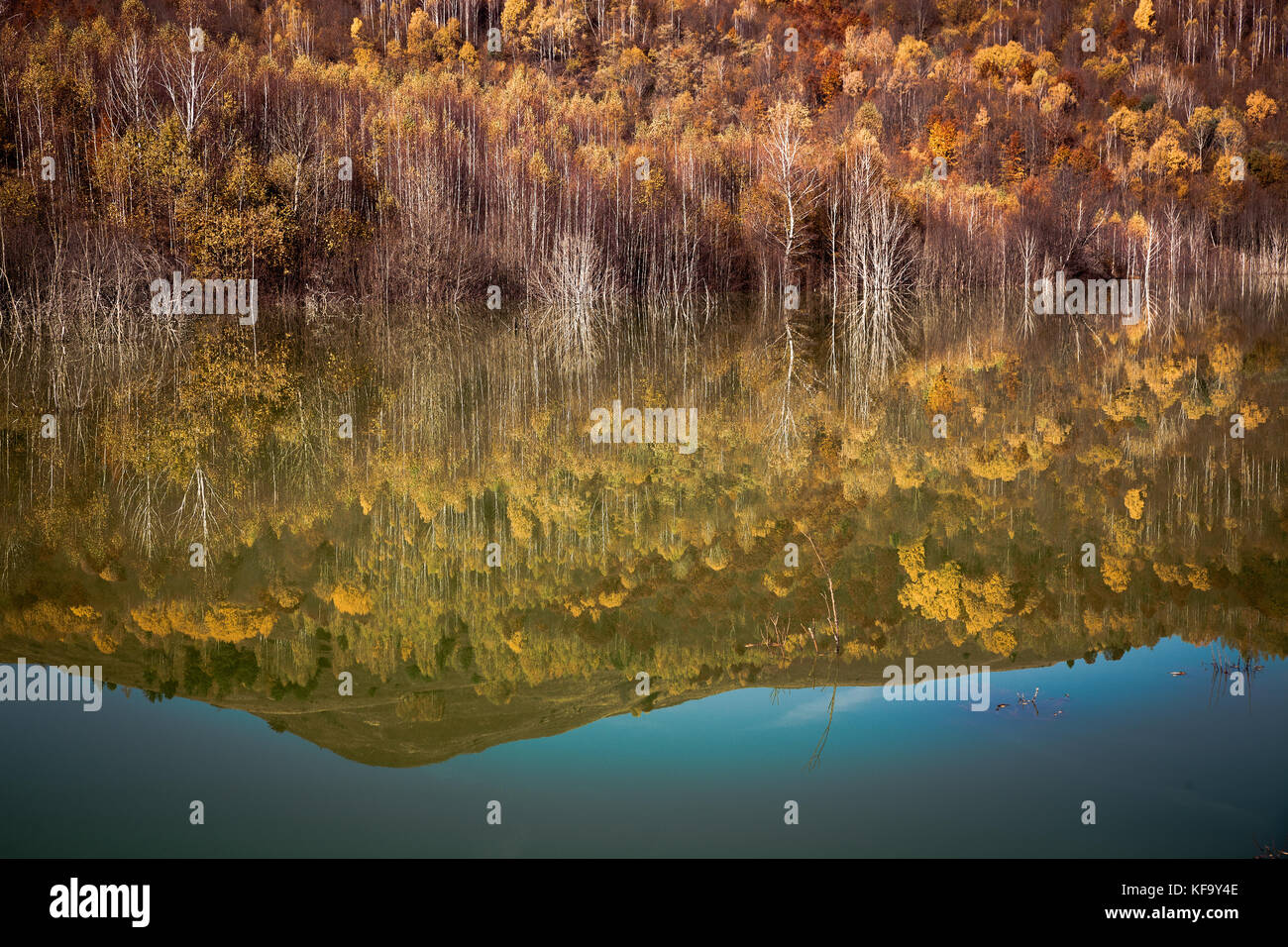 colorful autumn trees reflecting in lake Stock Photo - Alamy