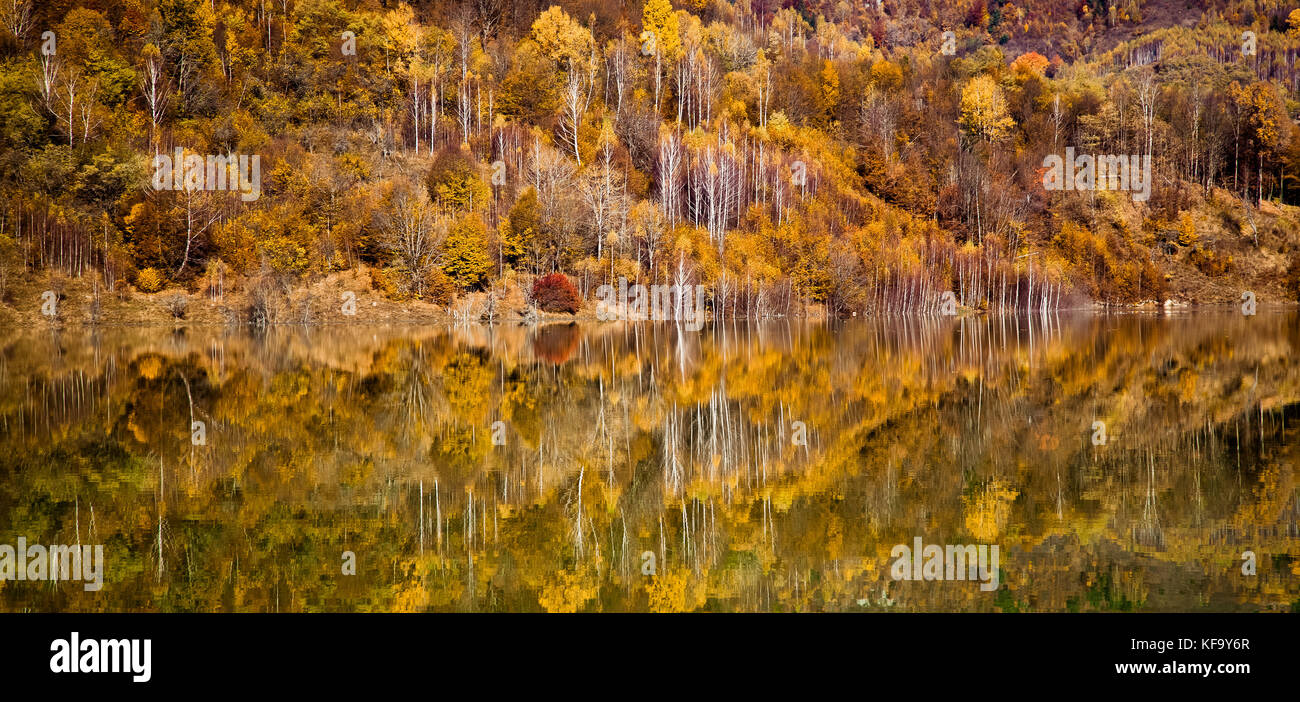 colorful autumn trees reflecting in lake Stock Photo - Alamy