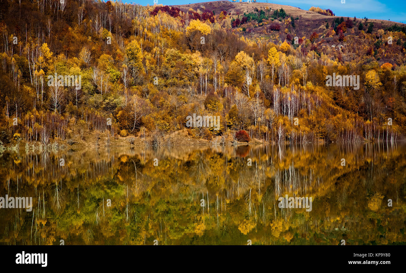 colorful autumn trees reflecting in lake Stock Photo - Alamy