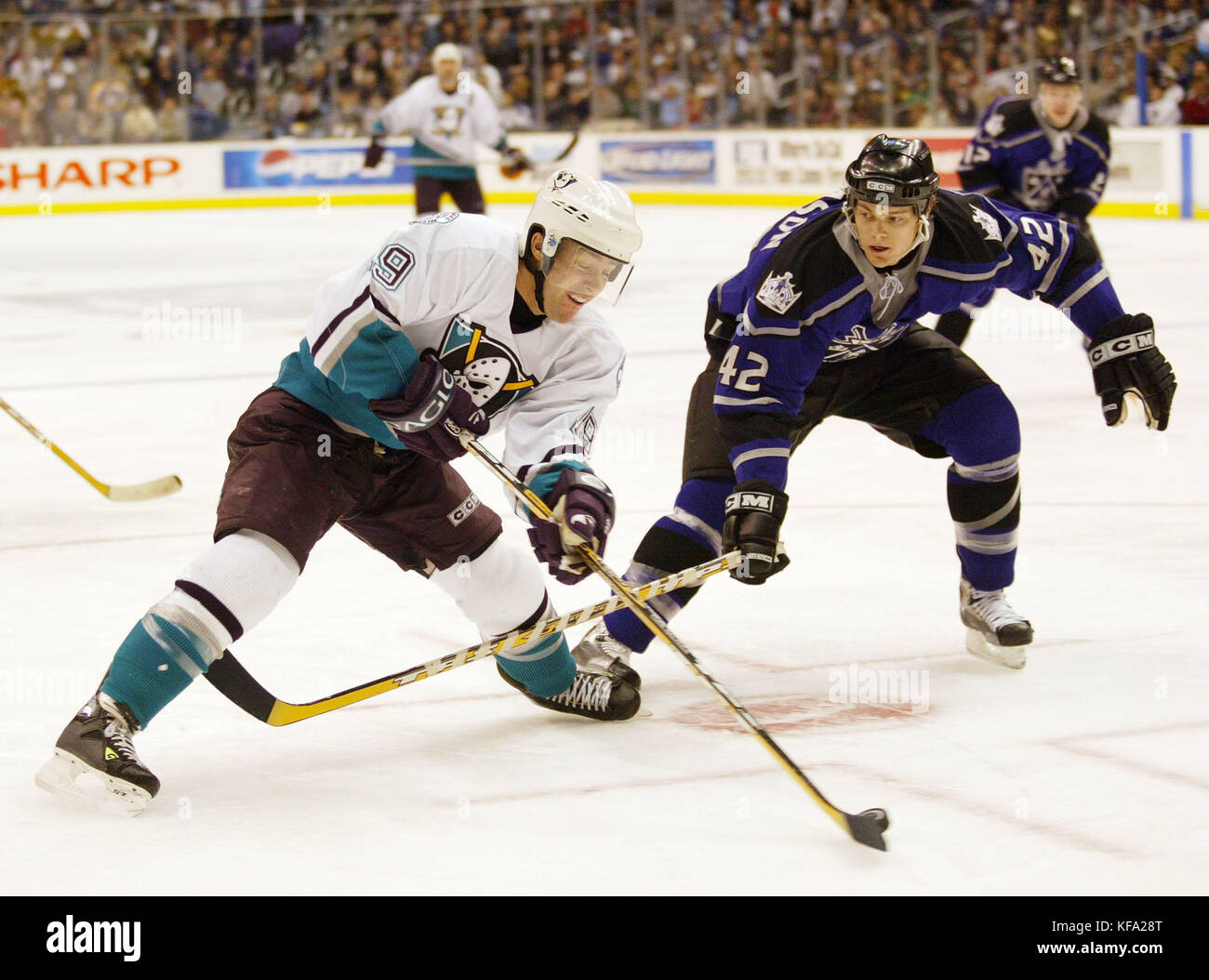 Anaheim Mighty Ducks Andy McDonald, (L) and Los Angeles Kings Tim Gleason battle for the puck in the third  period at the Staples Center in Los Angeles, Calif. on Saturday 28  February 2004. The Kings won, 2-1. Photo by Francis Specker Stock Photo