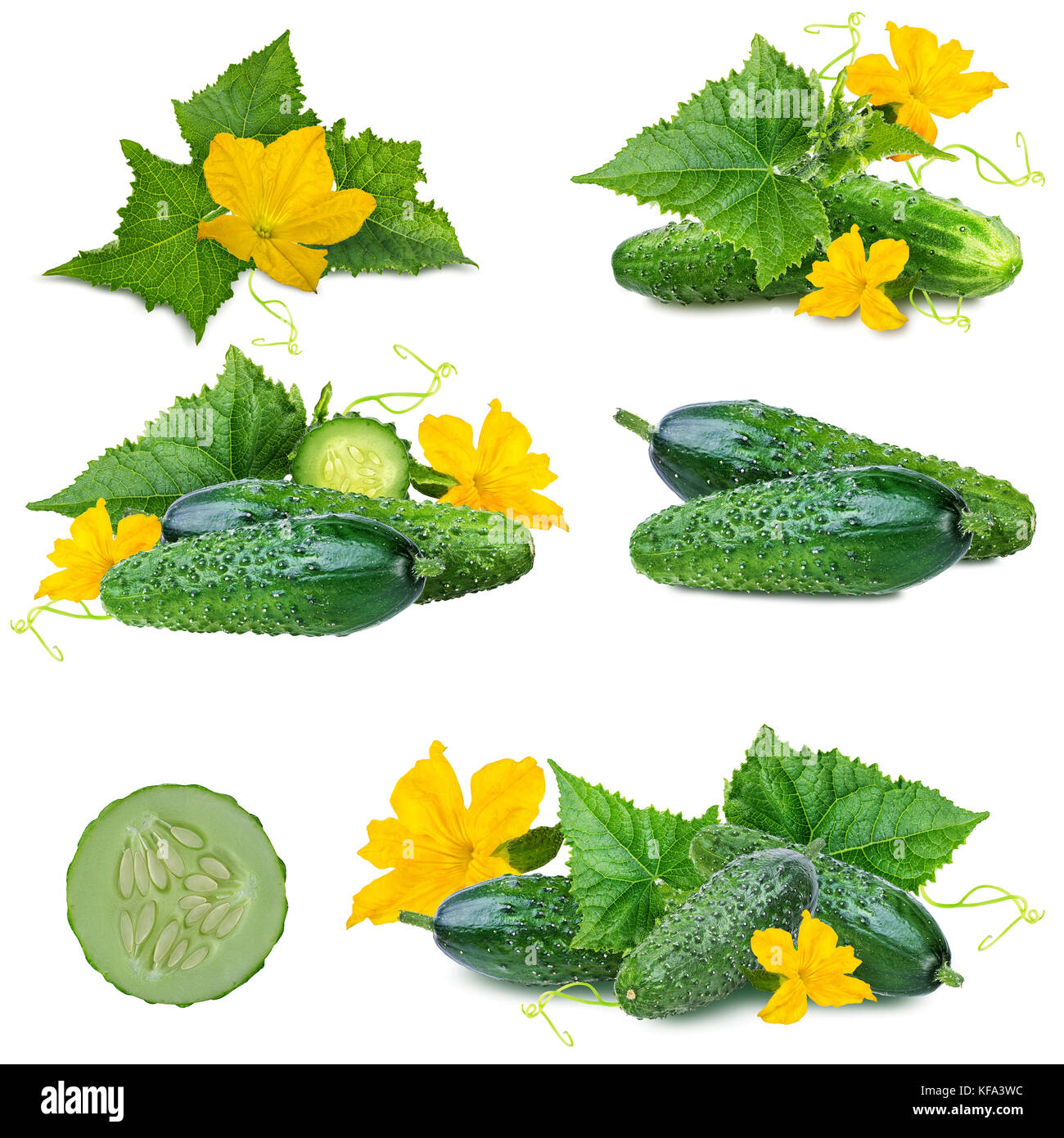 cucumber isolated on white background Stock Photo - Alamy