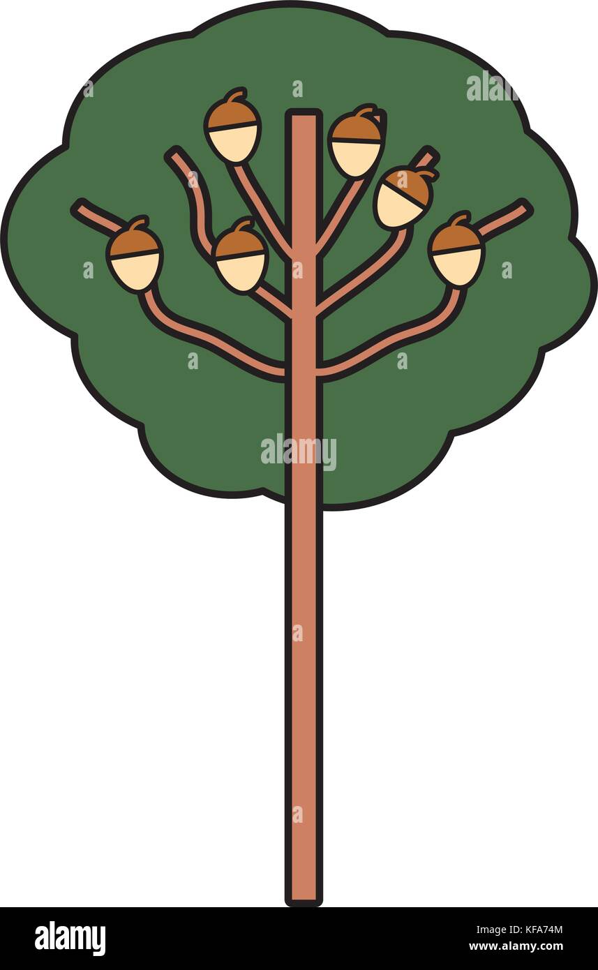 tree icon image Stock Vector Image & Art - Alamy