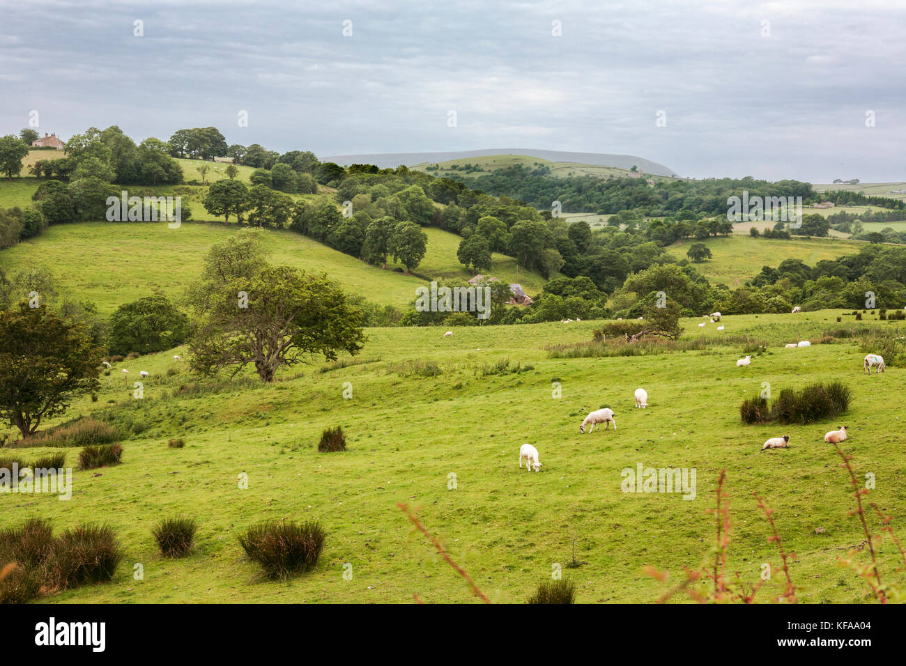 Pendle Hill from Gisburn Road, Blacko, Lancashire, England, UK Stock Photo