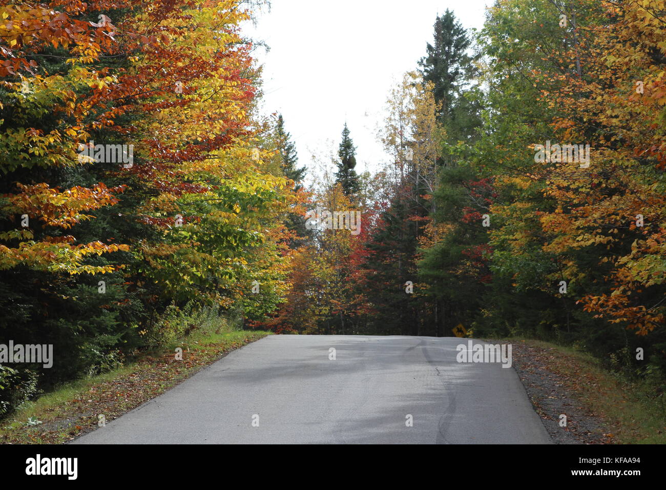 Autumn landscape Stock Photo
