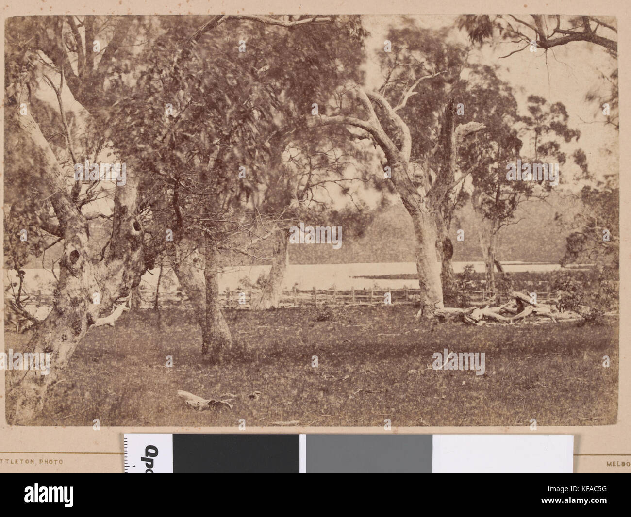 Harcourt Reservoir. Mount Alexander 78 Miles N.N.W. from Melbourne Stock Photo Alamy