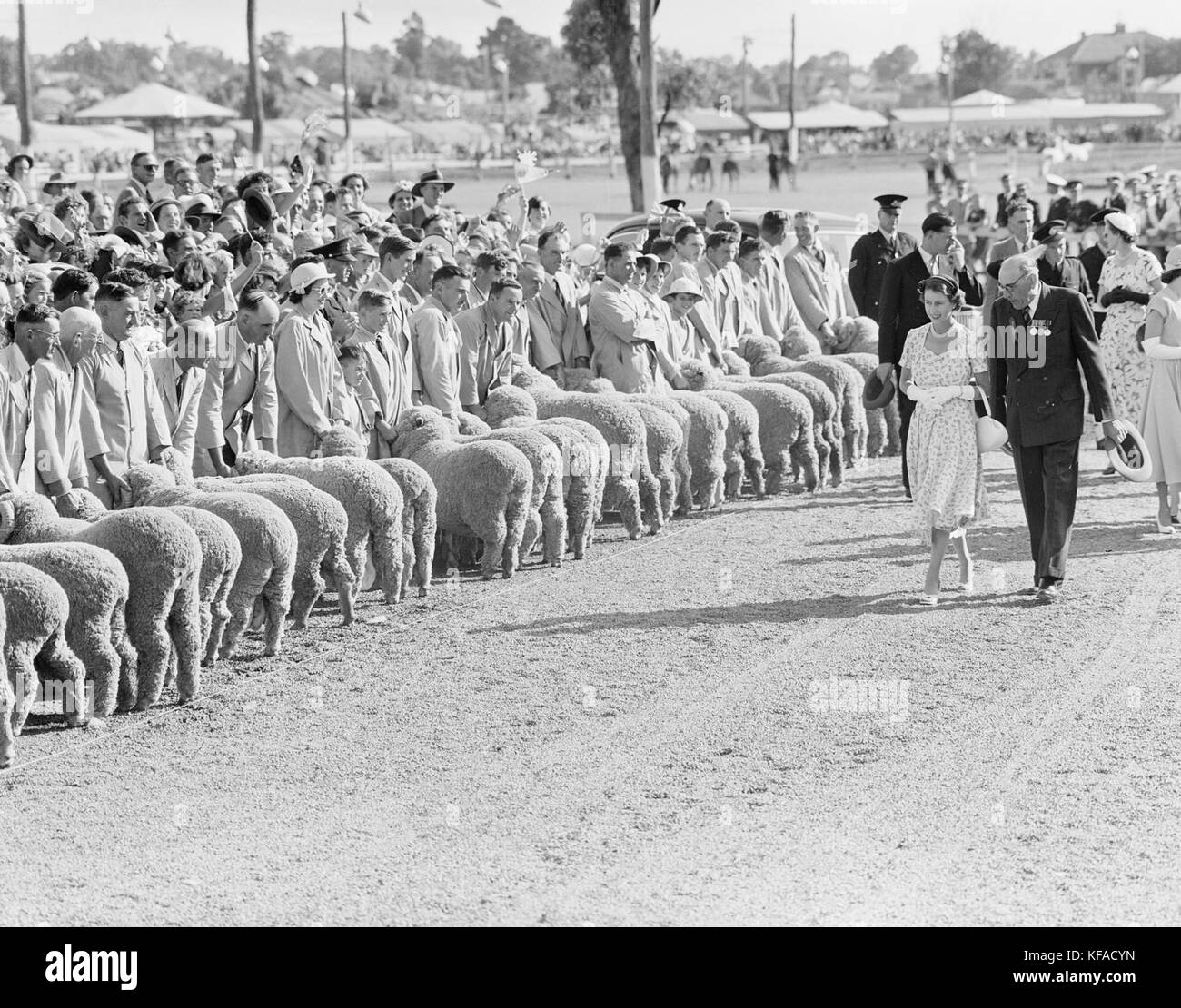 QueenElizabeth InspectingSheep WaggaWagga 1954 Stock Photo