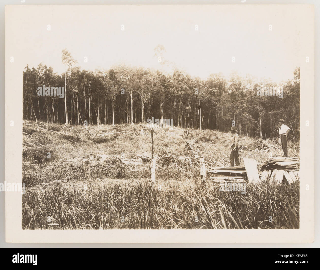920759 Series 16 Agriculture and primary industry ca 19211924 Stock ...