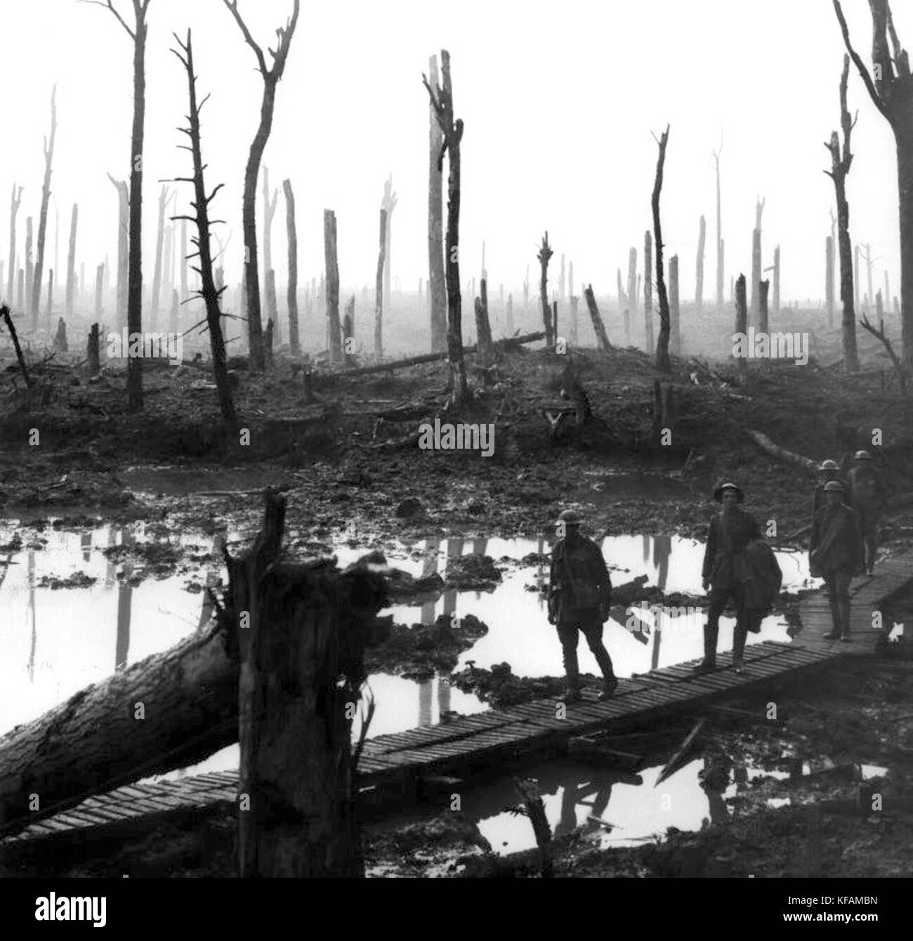Chateau Wood Ypres 1917 Stock Photo