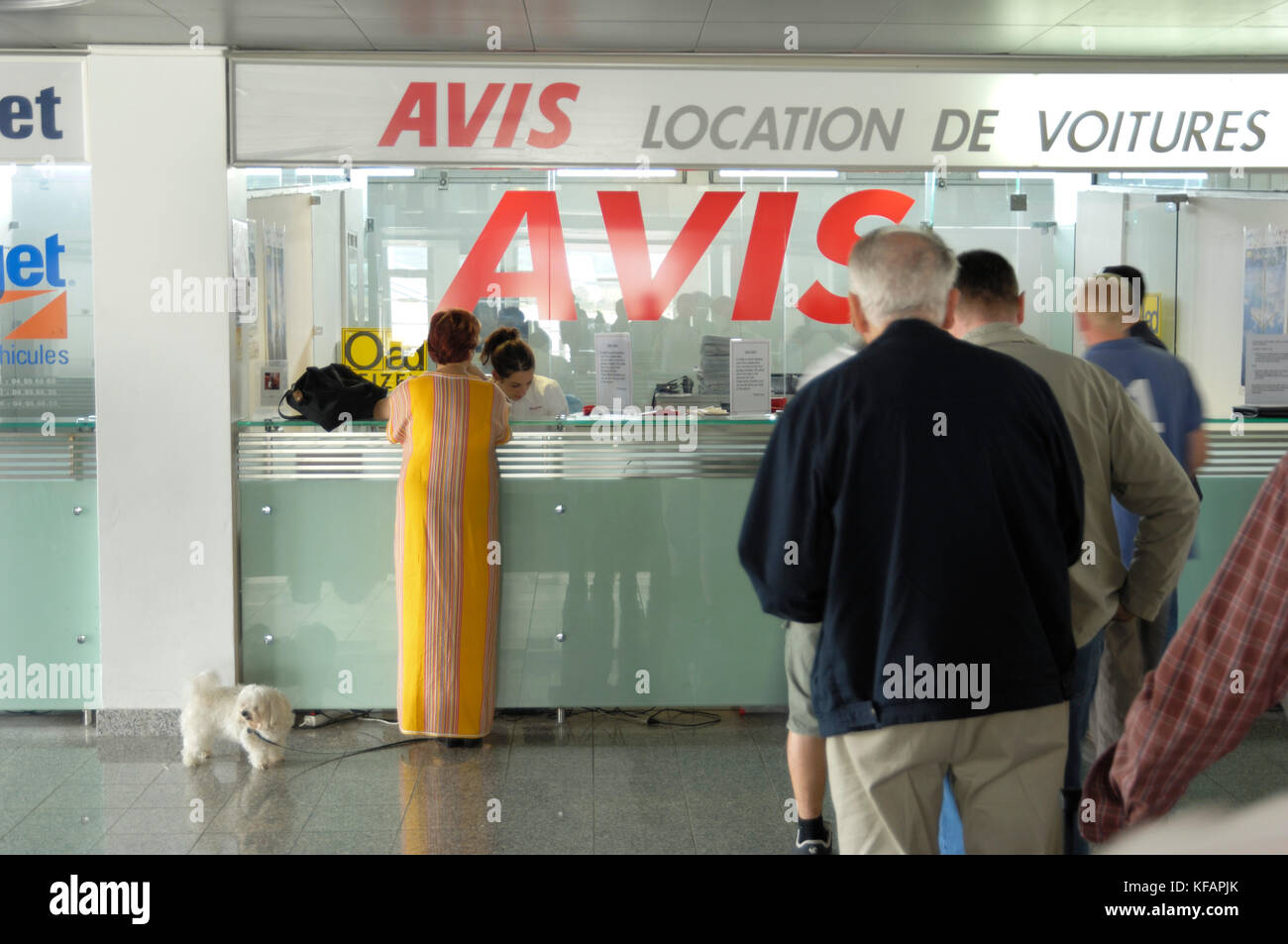woman wearing a long yellow dress with a white dog at the Avis car-hire desk in the terminal, queue of men waiting Stock Photo