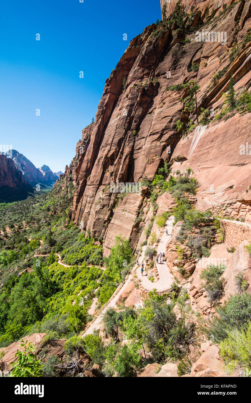 Overlook over the cliffs of the Zion national Park and the Angel´s ...