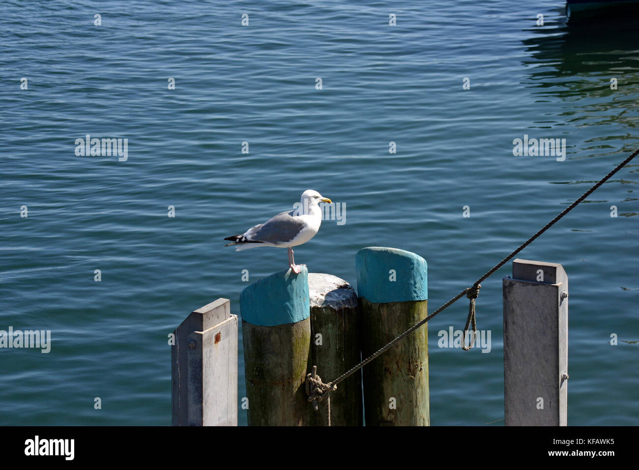 Chatham fish pier hires stock photography and images Alamy