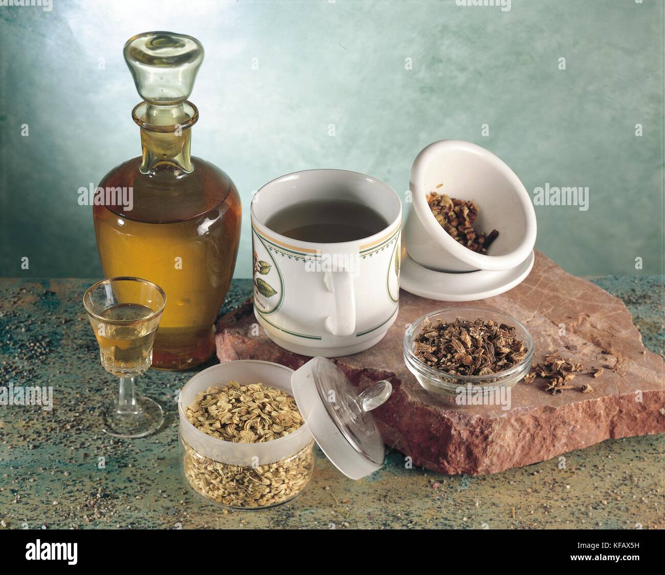 Still Life, Angelica (Angelica archangelica), use Stock Photo Alamy