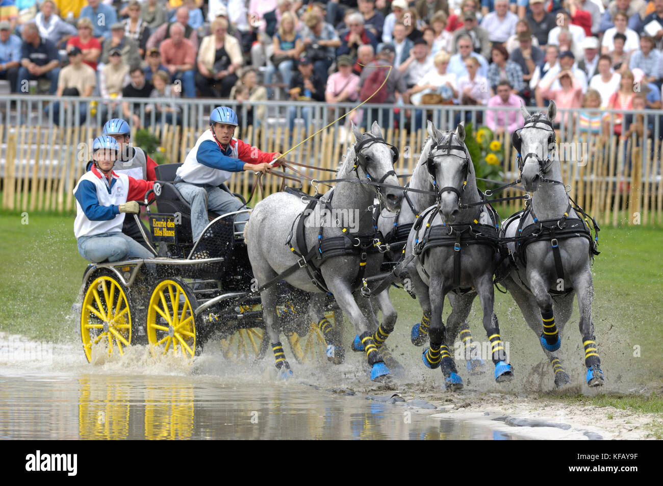 Benjamin Aillaud (FRA), World Equestrian Games, Aachen, 31 August 2006