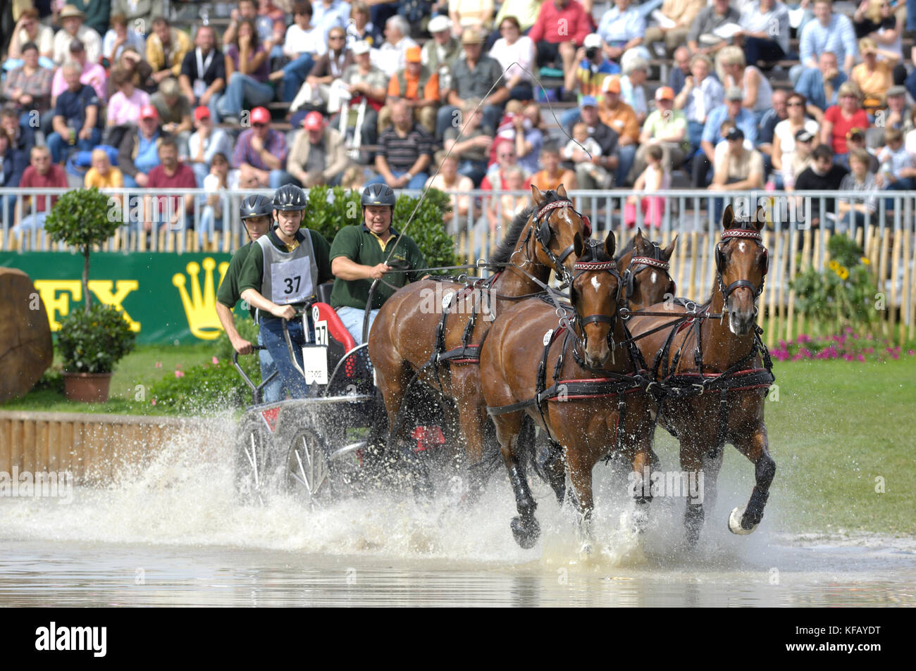 Theo Timmerman (NED), World Equestrian Games, Aachen, 31 August 2006