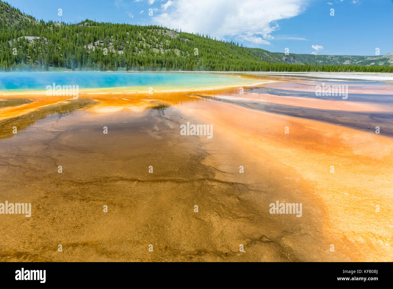 Microbial mats fan out from the vivid center of the Grand Prismatic