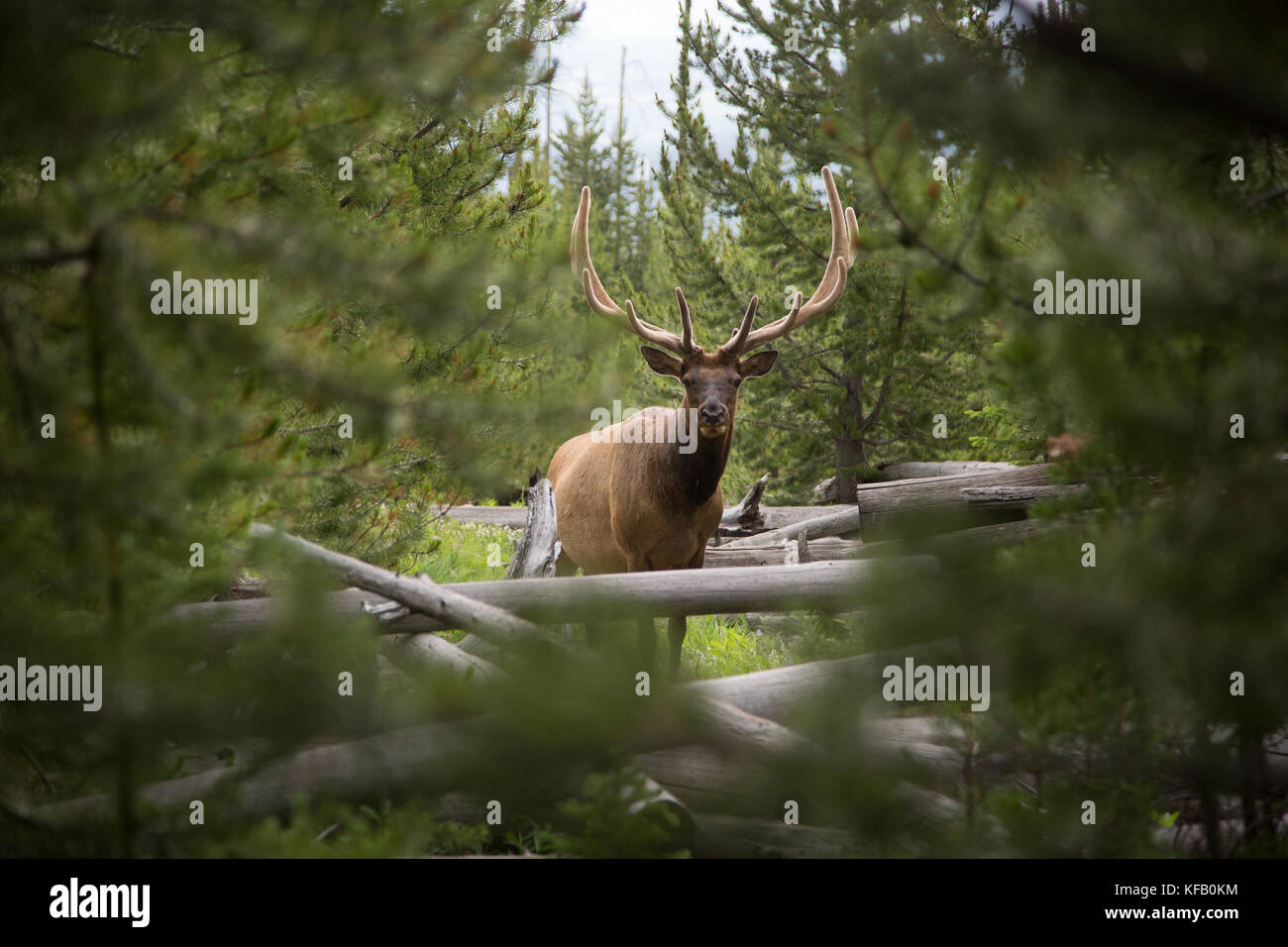 sepulcher mountain trail