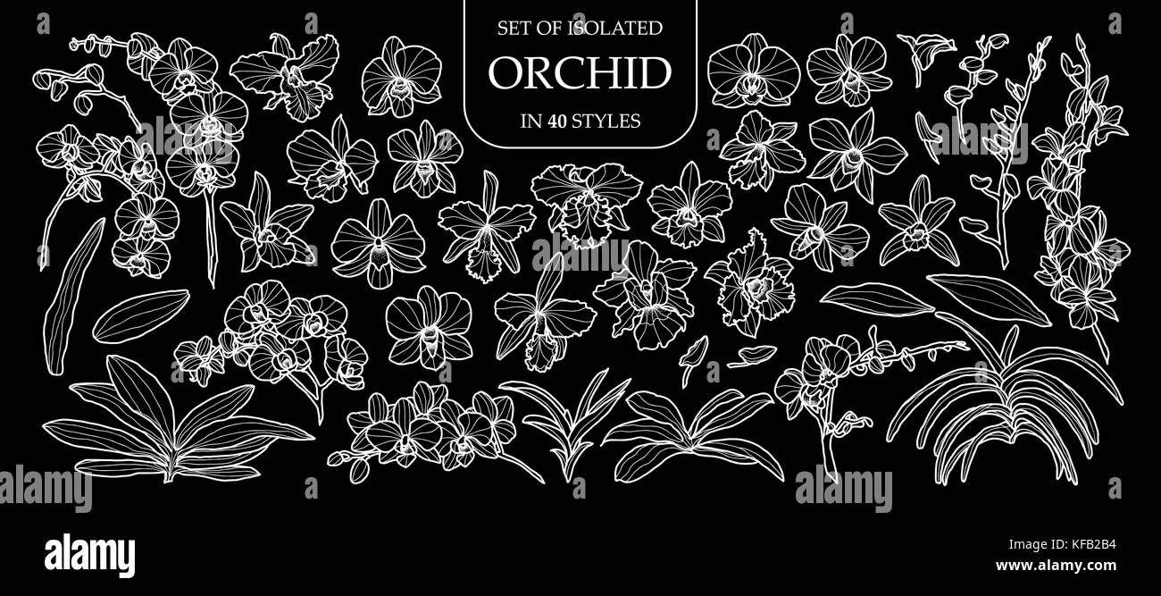 Set of isolated orchid in 40 styles. Cute hand drawn flower vector illustration only white outline on black background. Stock Vector