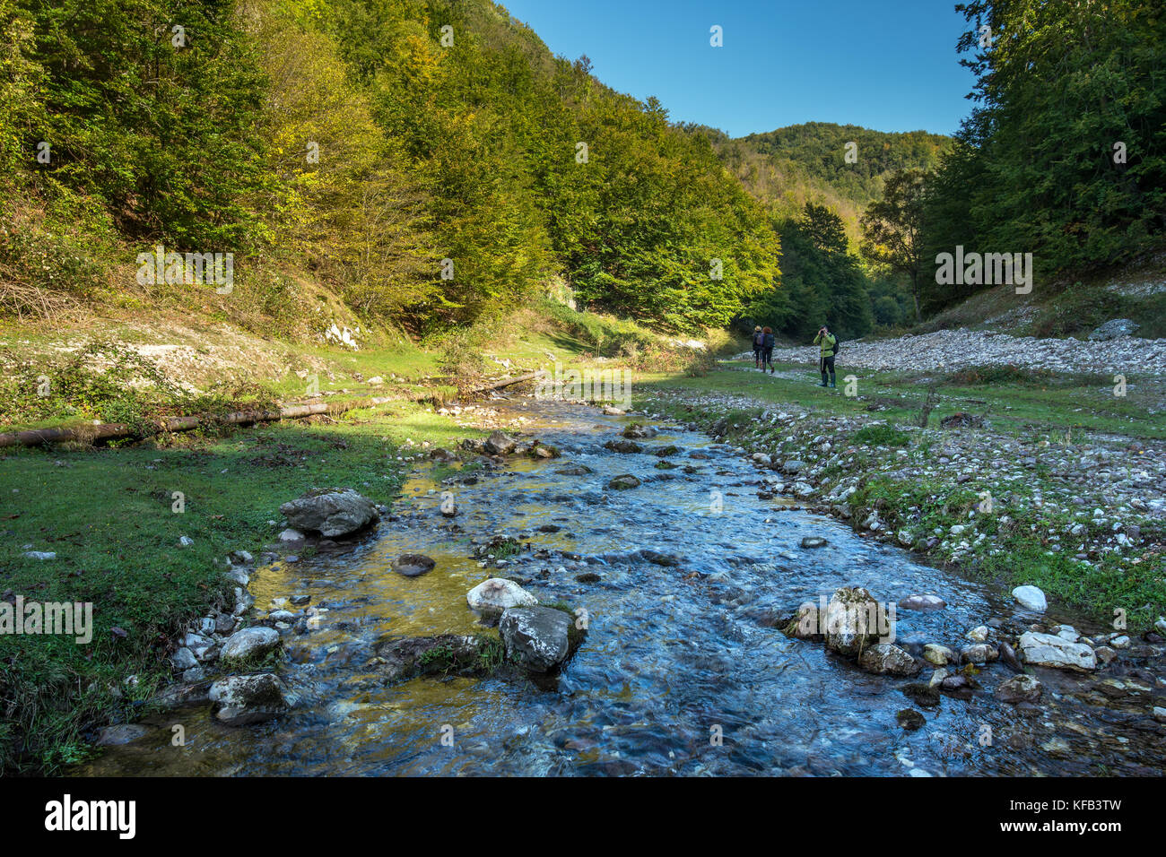Landscape with mountain river flowing through forests Stock Photo - Alamy