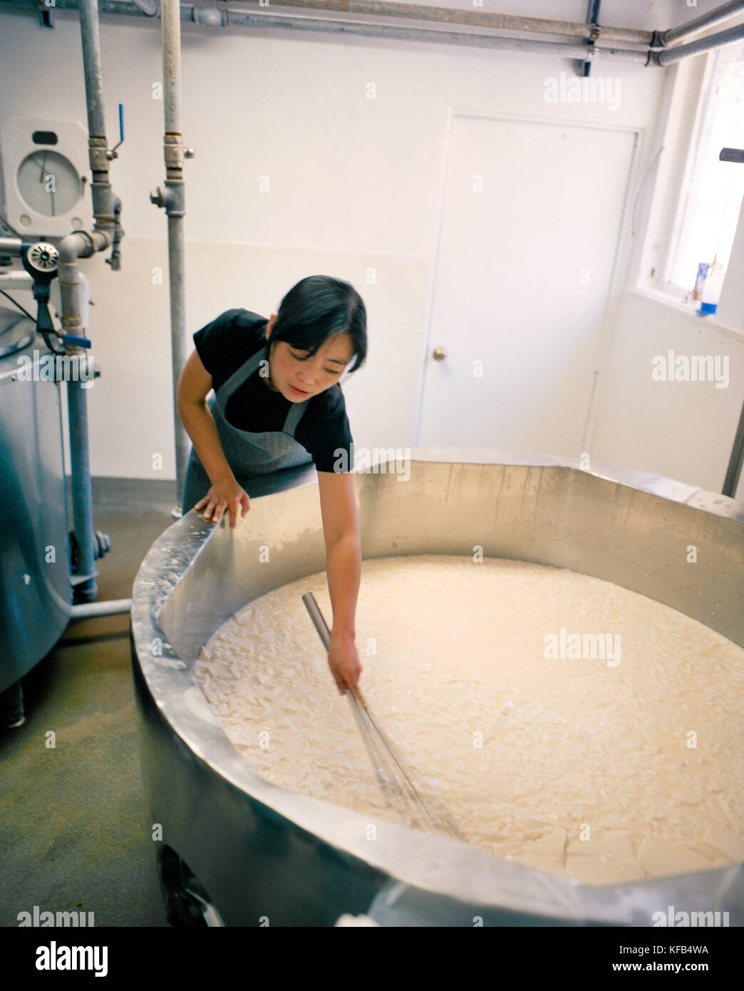USA, California, Petaluma, Soyoung Scanlan makes Goat’s milk cheese in