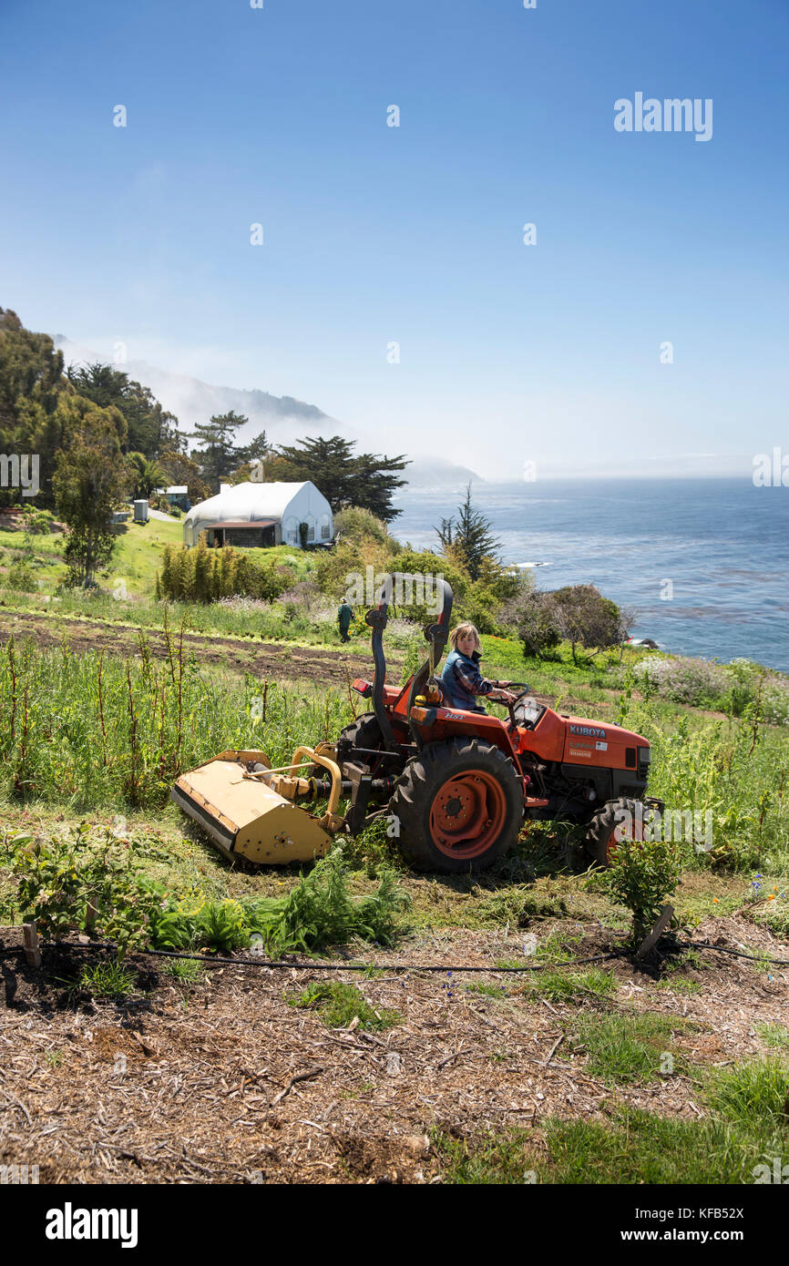 USA, California, Big Sur, Esalen, tilling a field at the farm, the Esalen Institute Stock Photo