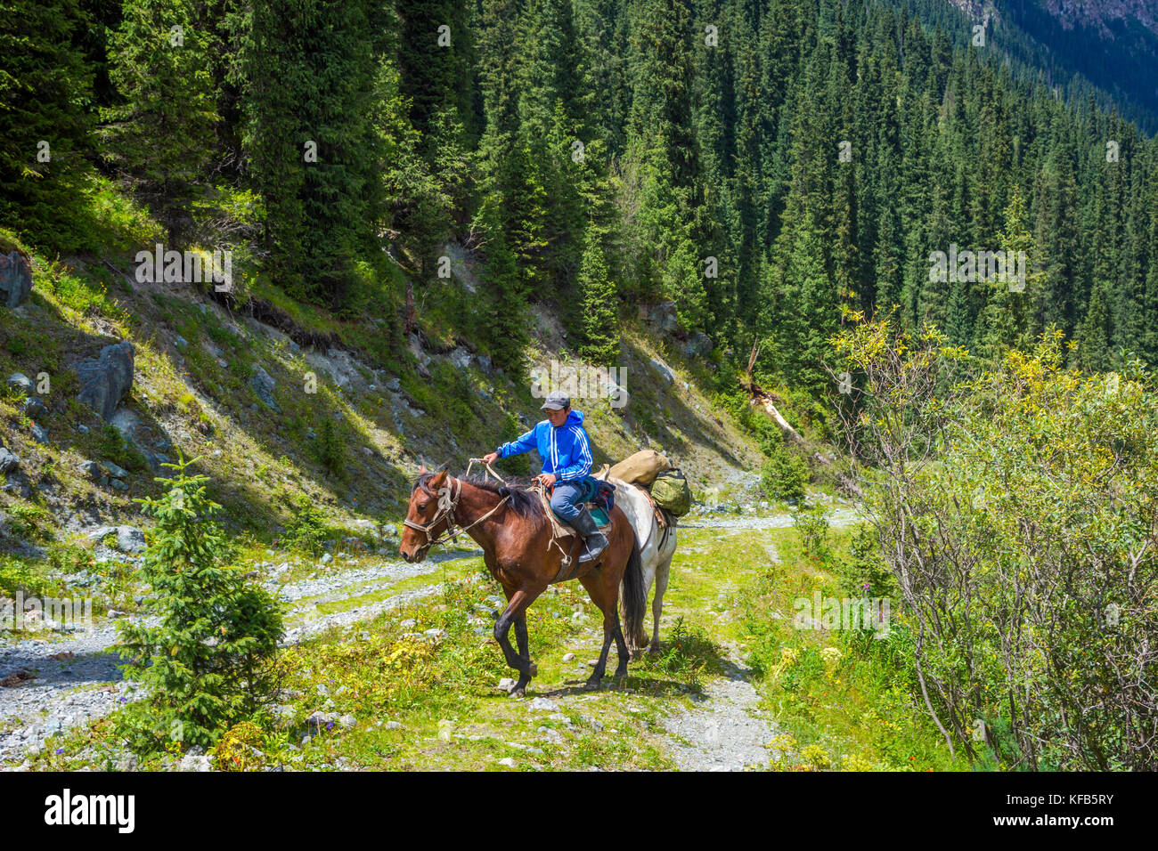 KARAKOL, KYRGYZSTAN - JULY 30: Guy riding a horse and transporting stuff to the base camp in Karakol national park. July 2016 Stock Photo