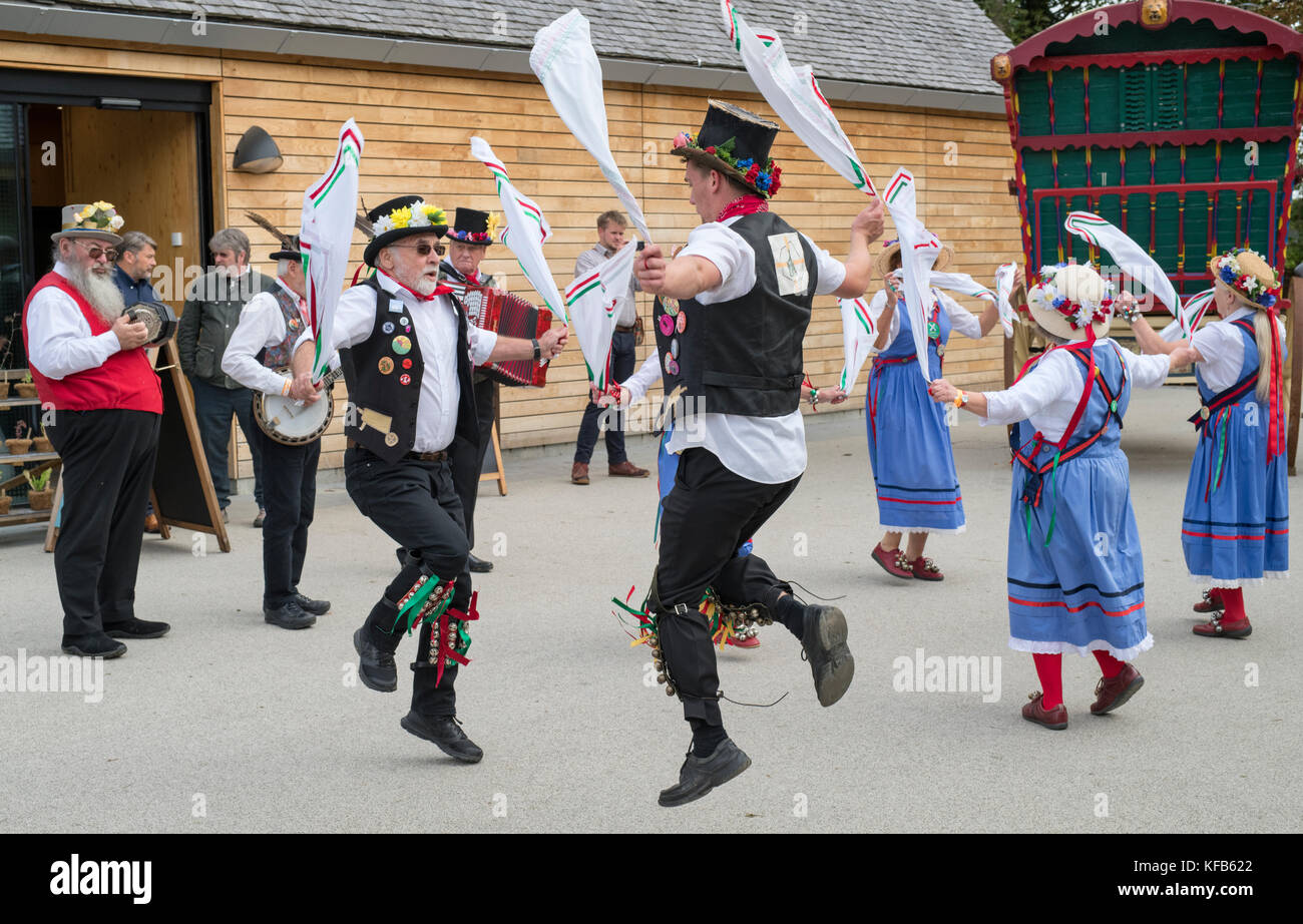 Morris dancers at Weald and Downland open air museum, autumn countryside show, Singleton, Sussex, England Stock Photo
