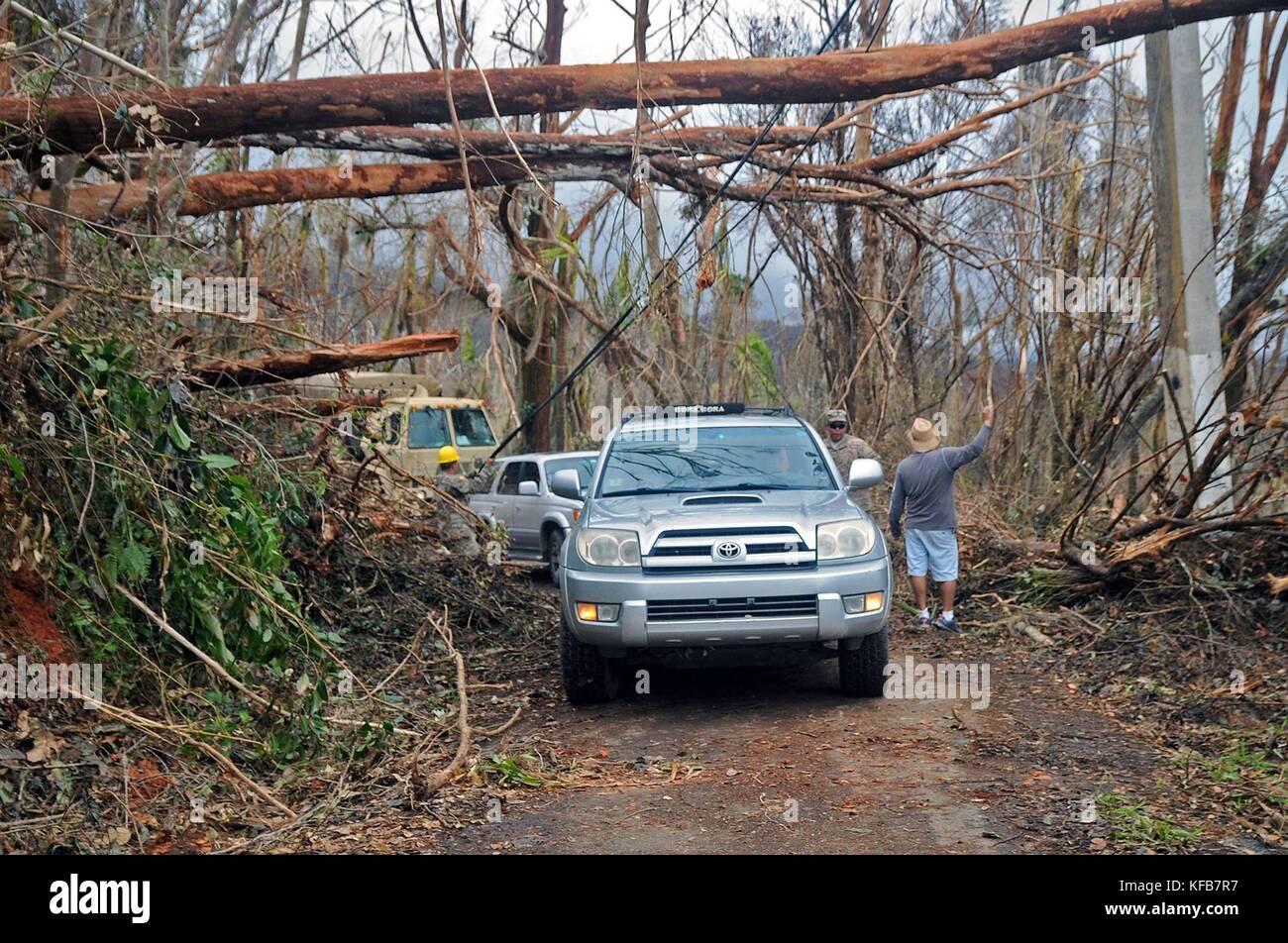 U.S. National Guard soldiers clear fallen trees and debris off a road during relief efforts in the aftermath of Hurricane Maria October 17, 2017 in Cayey, Puerto Rico.   (photo by Wilma Orozco Fanfan via Planetpix) Stock Photo