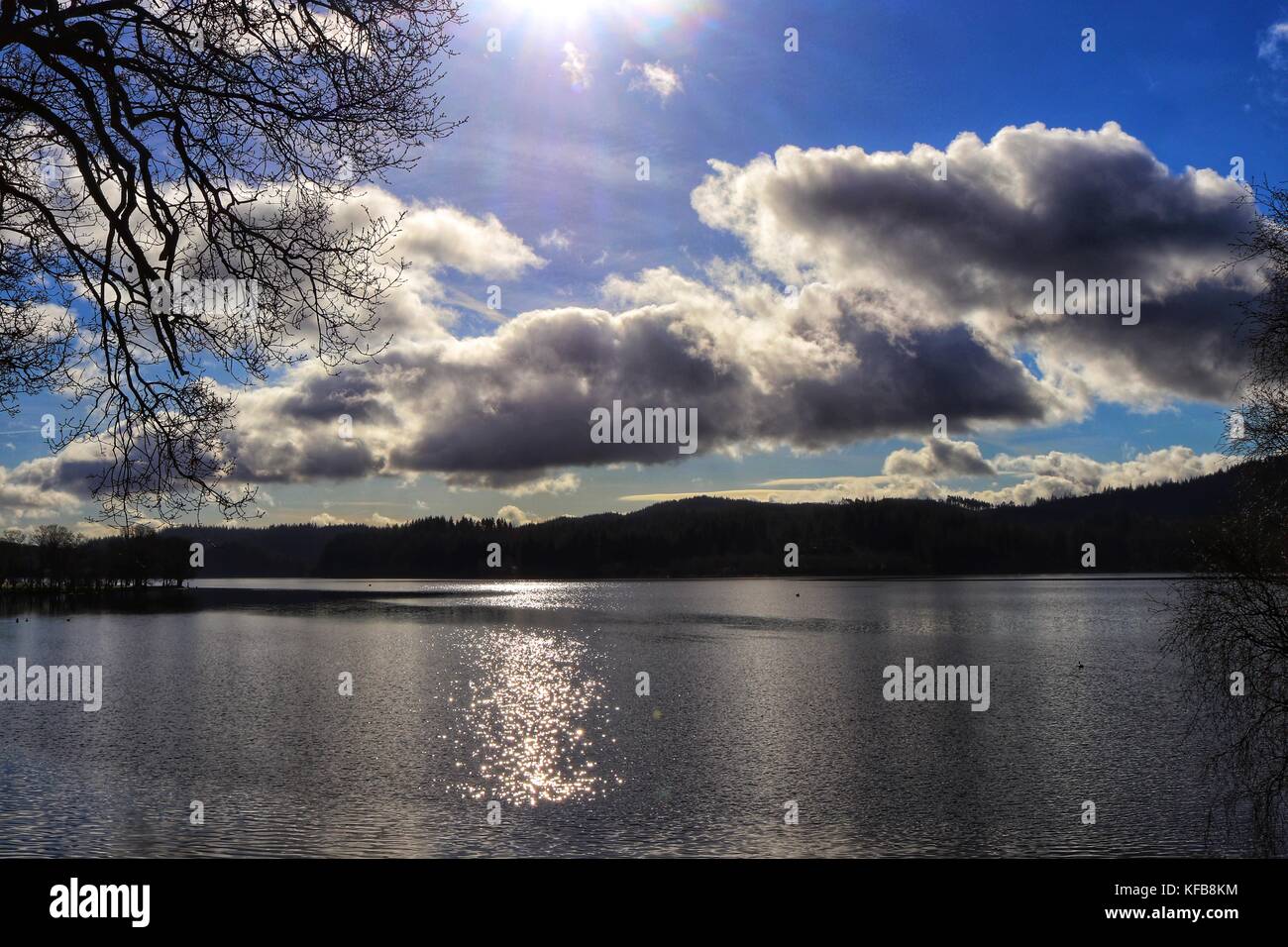 Kin Loch Ard Loch Ard, Aberfoyle, Kinlochard, Scotland, Highlands Stock Photo - Alamy