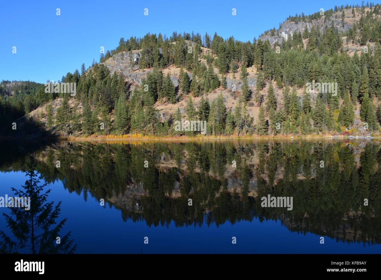 Fall morning with lake reflection at Lake Ellen, Colville National Forest in Washington State. Stock Photo