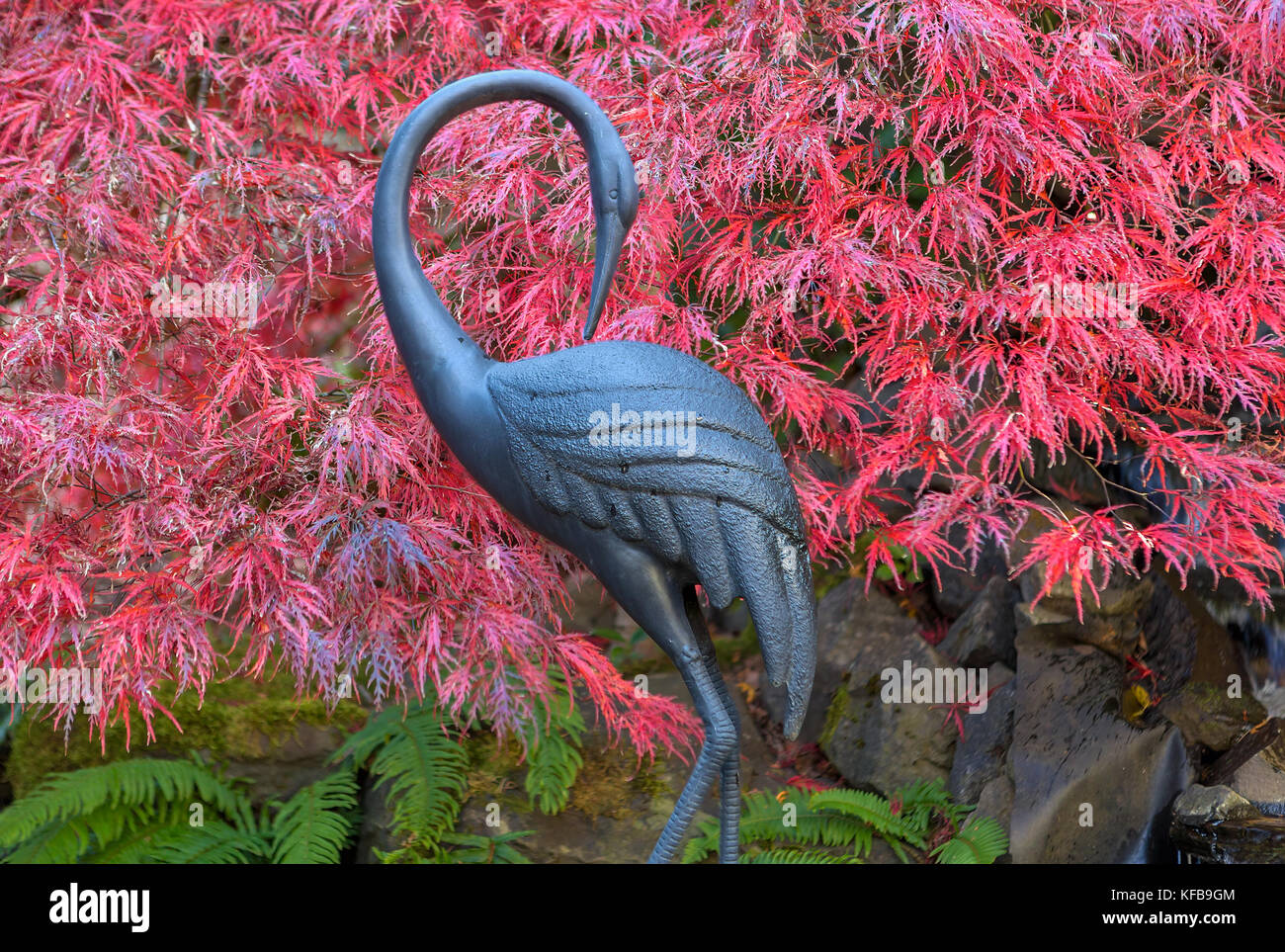Bronze crane statue against red laced leaf maple trees in home garden backyard in fall season color Stock Photo