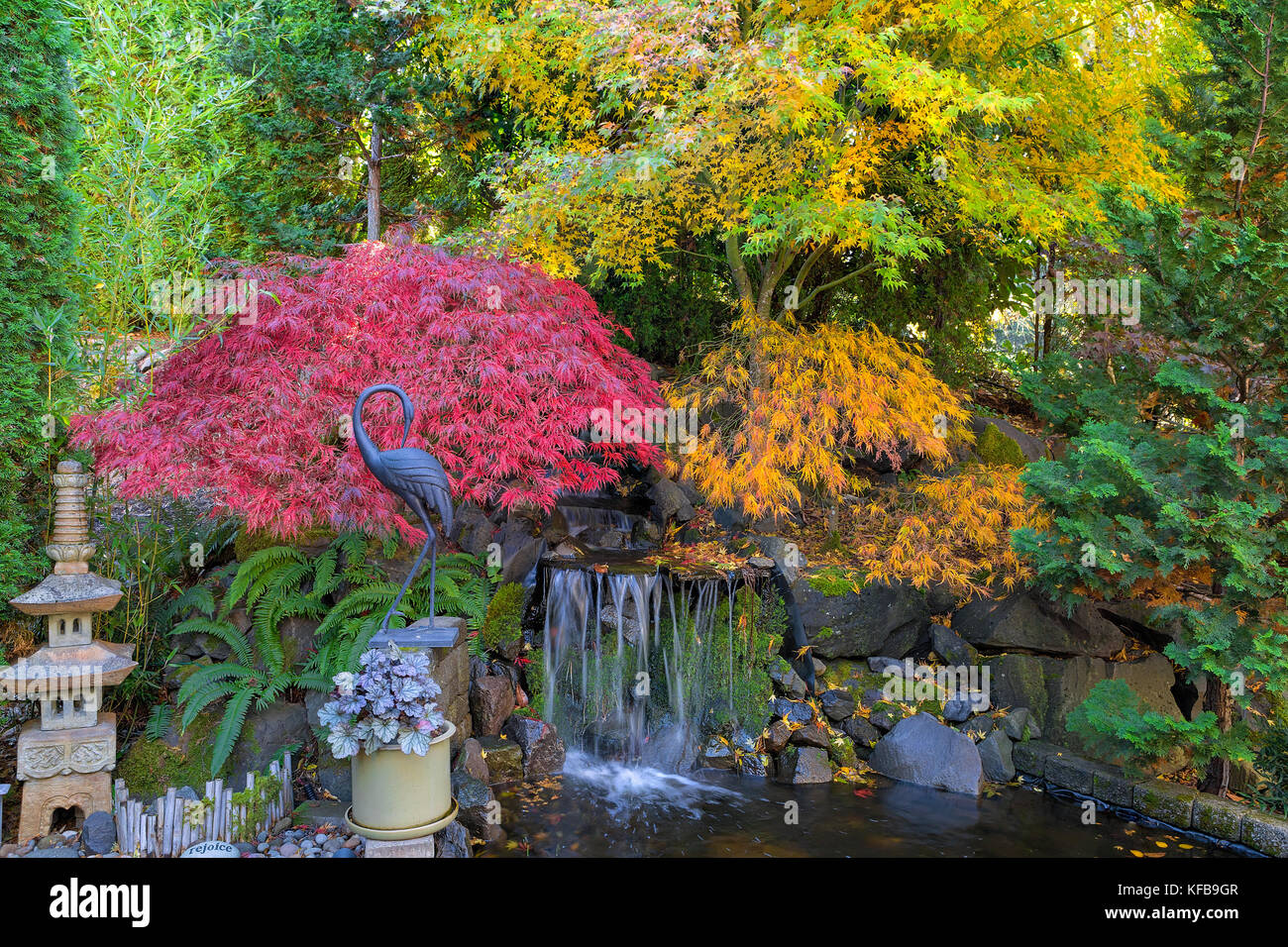 Home garden backyard waterfall pond with maple trees bamboo decor in fall season color Stock Photo